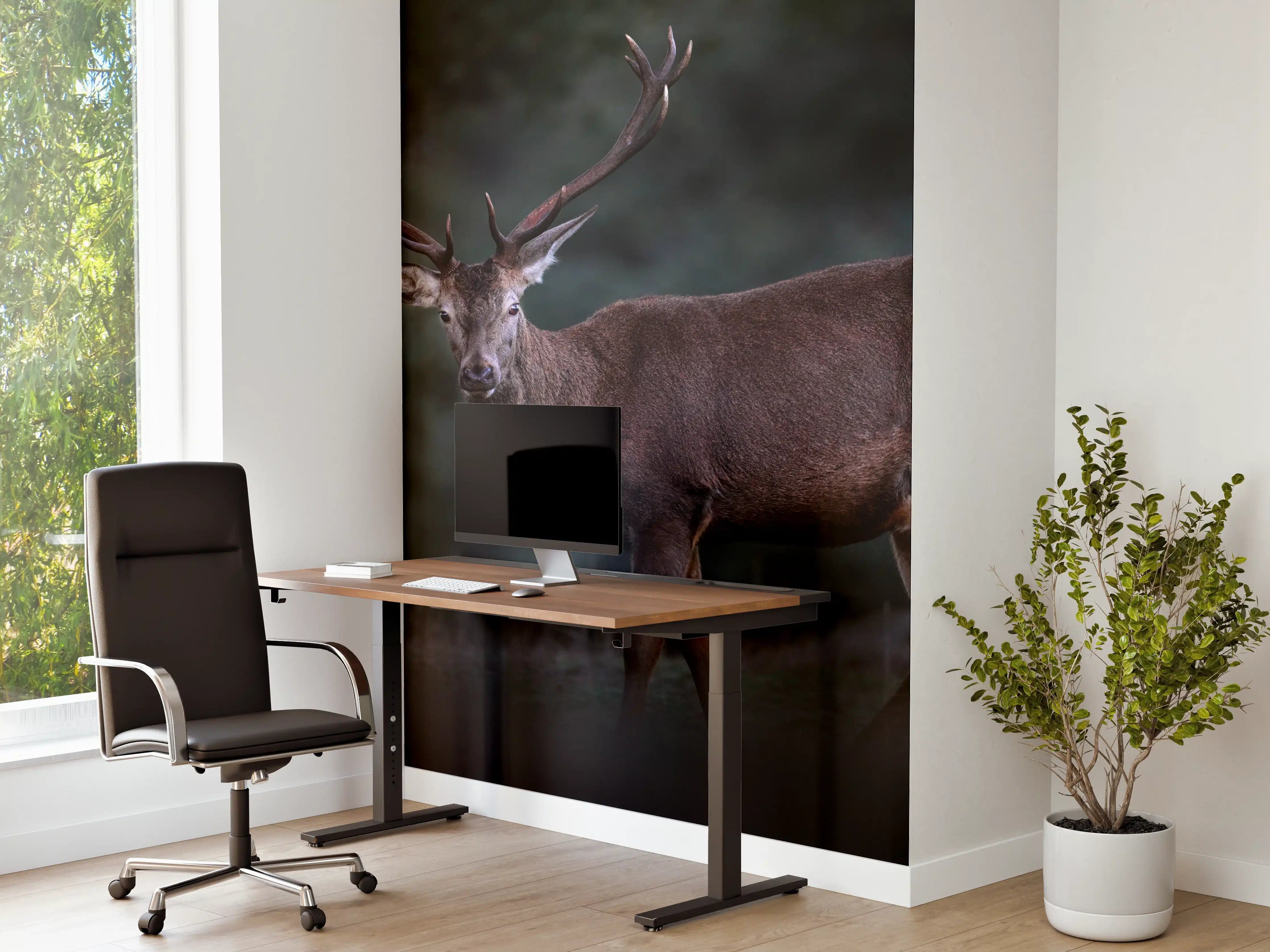 Büro Wandgestaltung - Hirsche Gebirge Sierra de Andujar