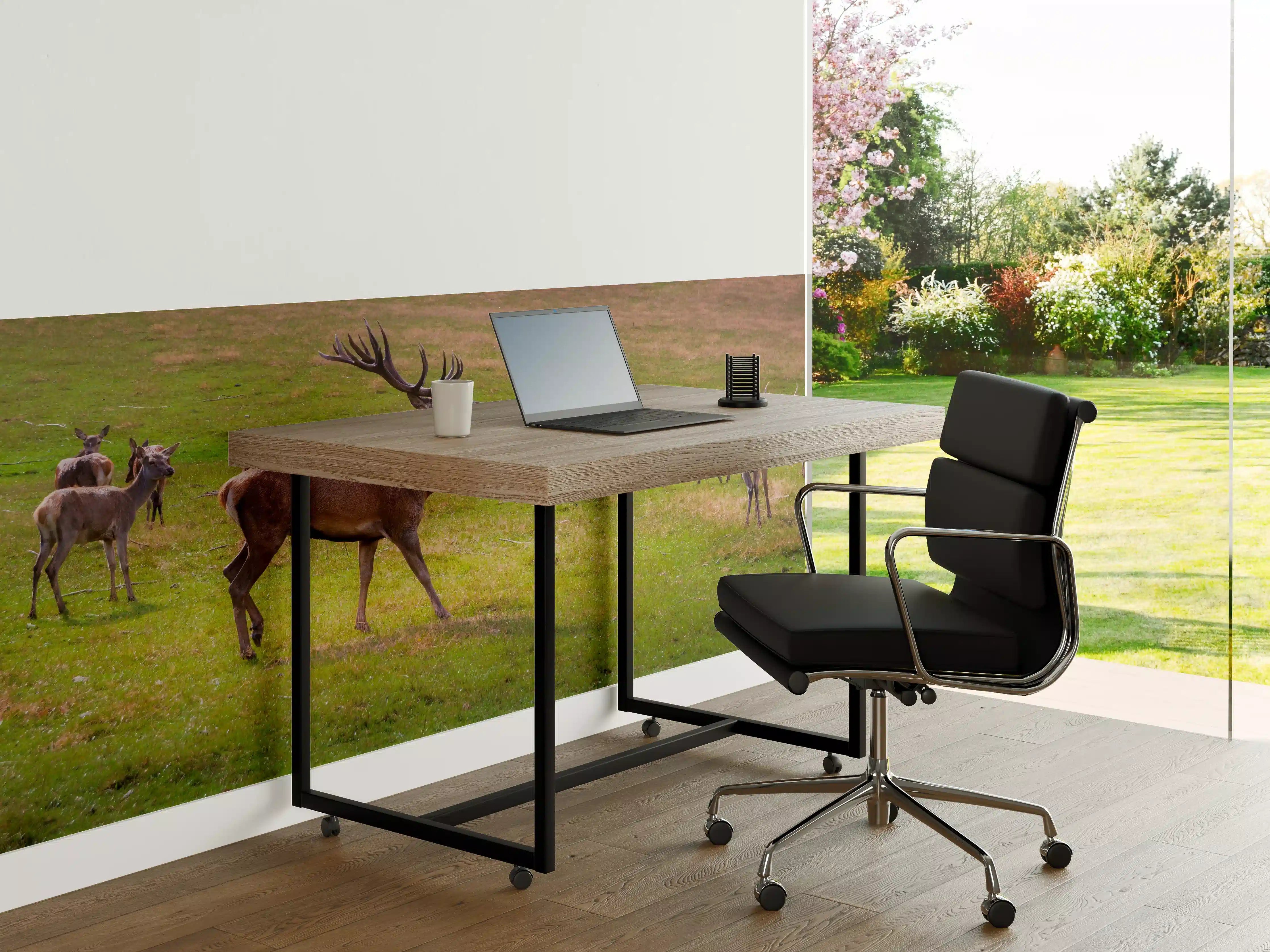 Büro Wandgestaltung - Hirschrudel auf grüner Wiese
