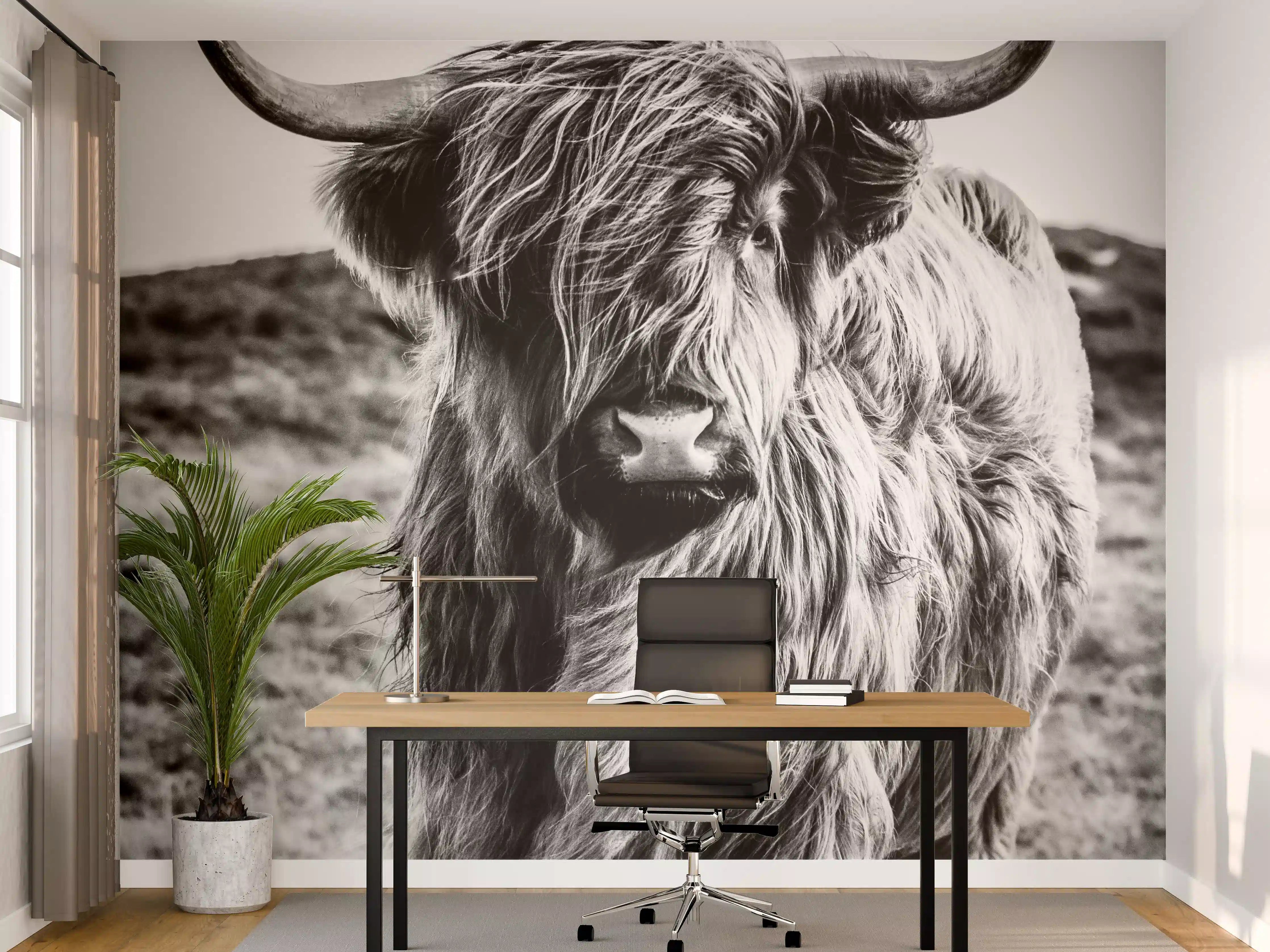 Büro Wandgestaltung - Hochlandkuh in Schwarz-weiß
