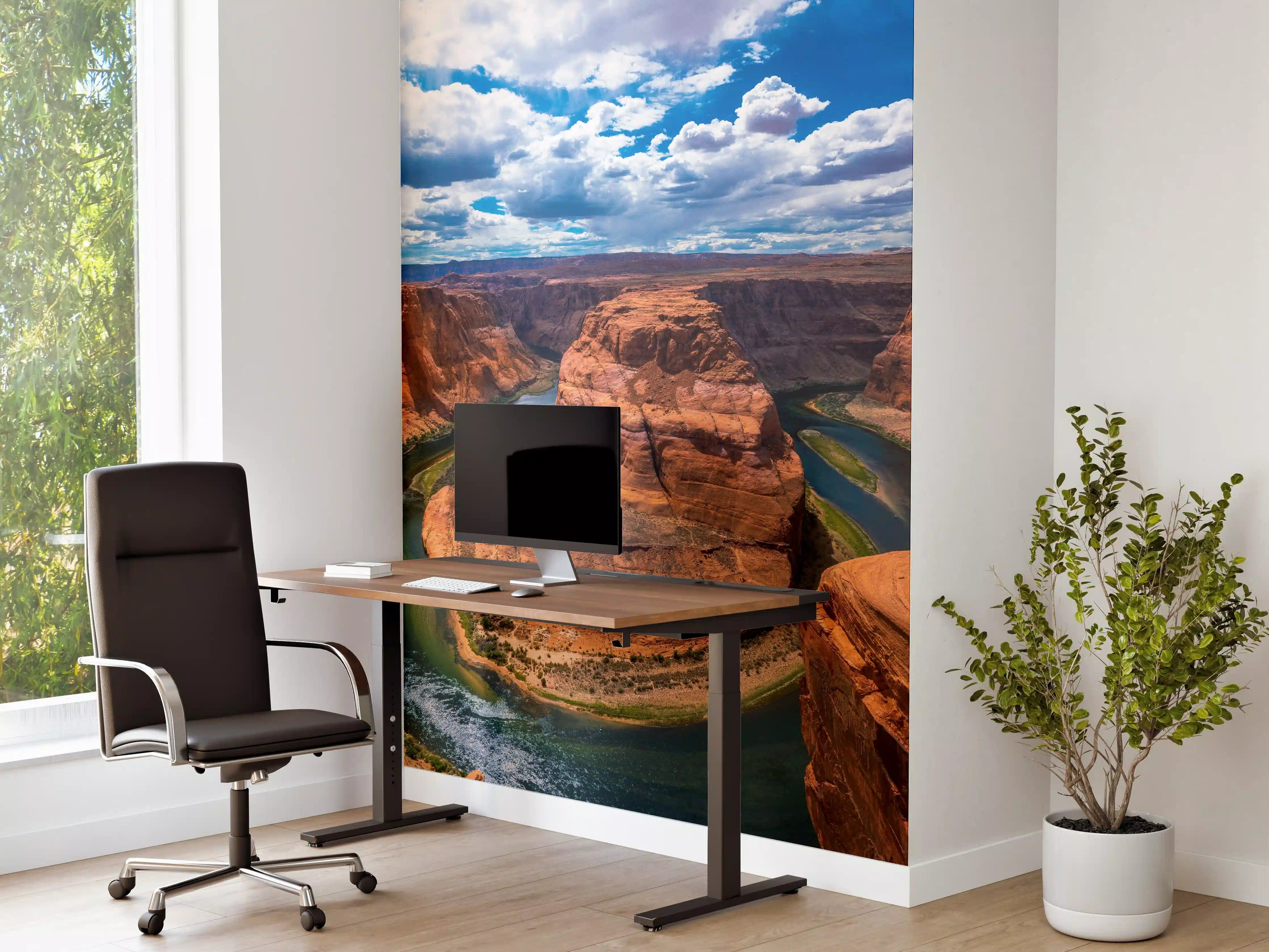 Büro Wandgestaltung - Horseshoe Bend Tal in Arizona bei Tag