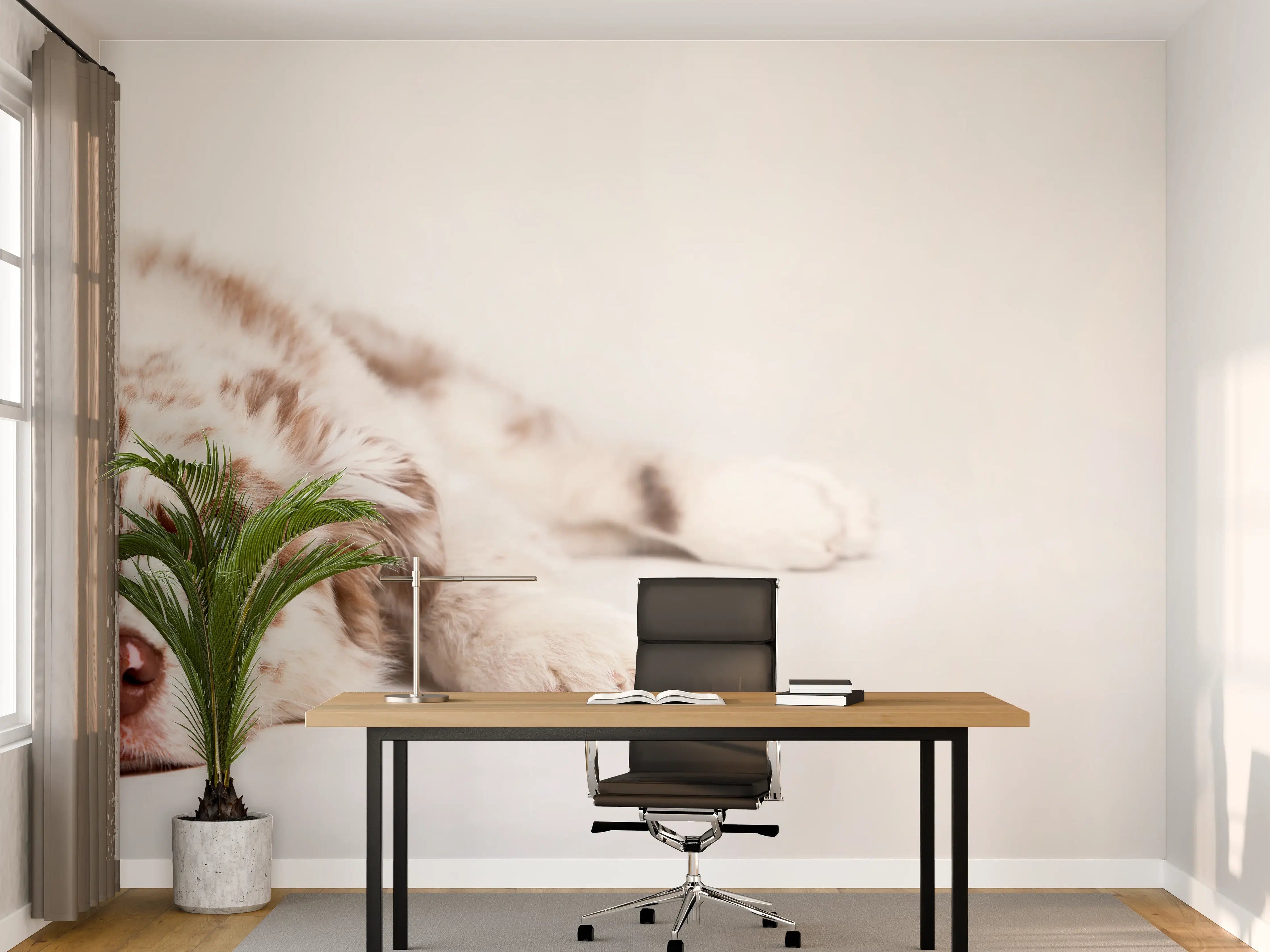 Büro Wandgestaltung - Hunde Portrait - Australian Shepherd