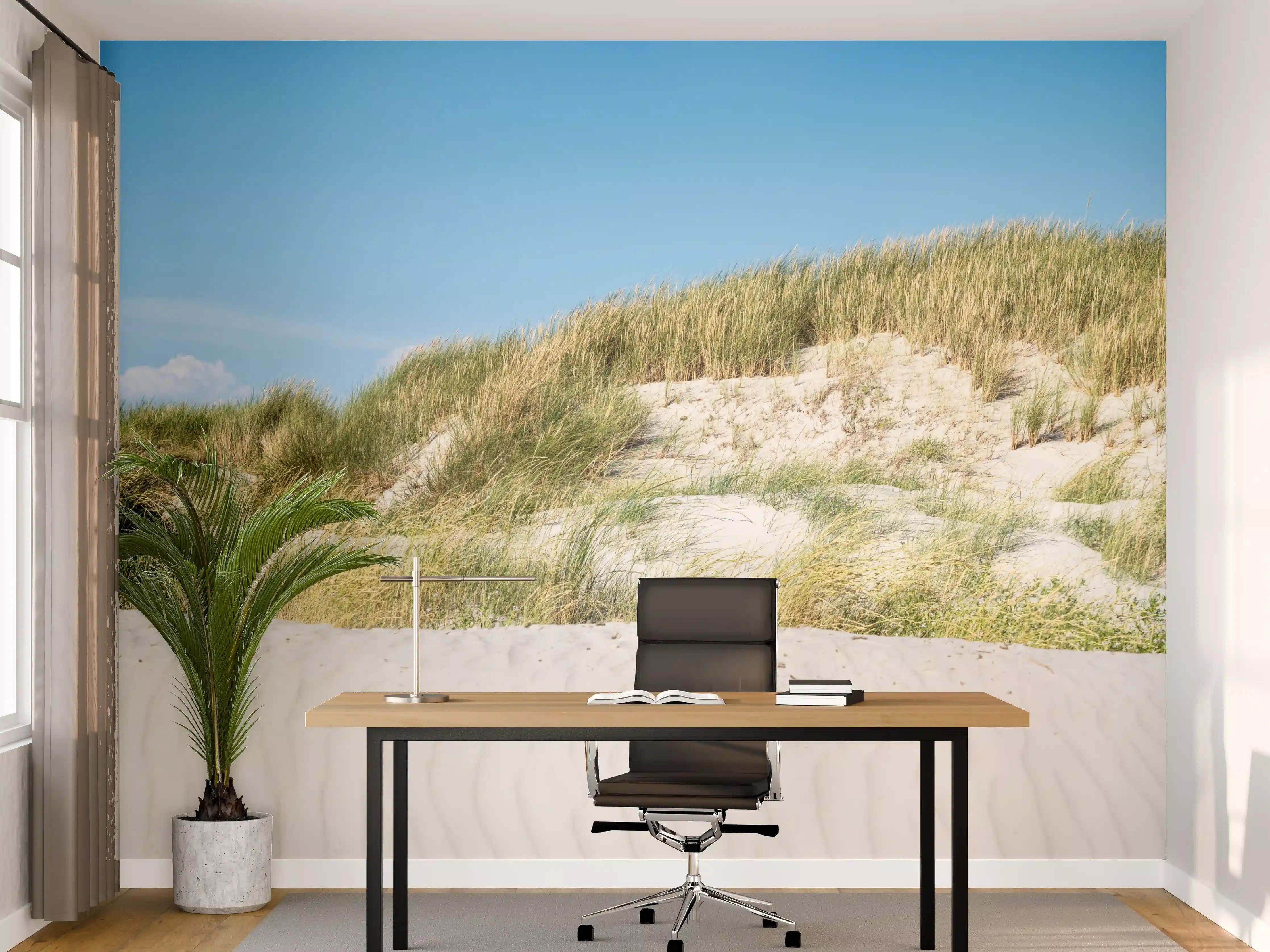 Büro Wandgestaltung - Idyllische Dünenlandschaft im Sonnenschein
