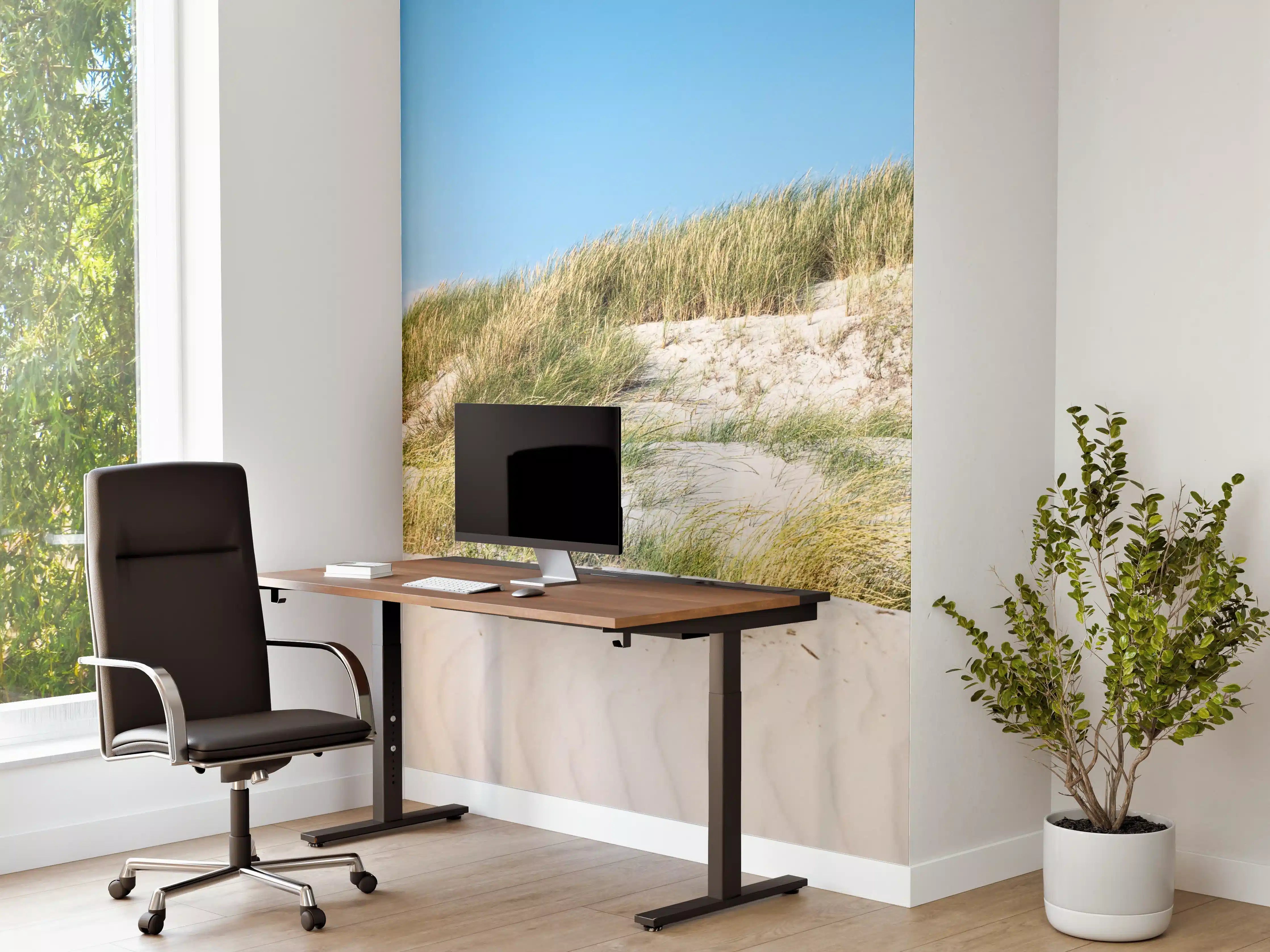 Büro Wandgestaltung - Idyllische Dünenlandschaft im Sonnenschein