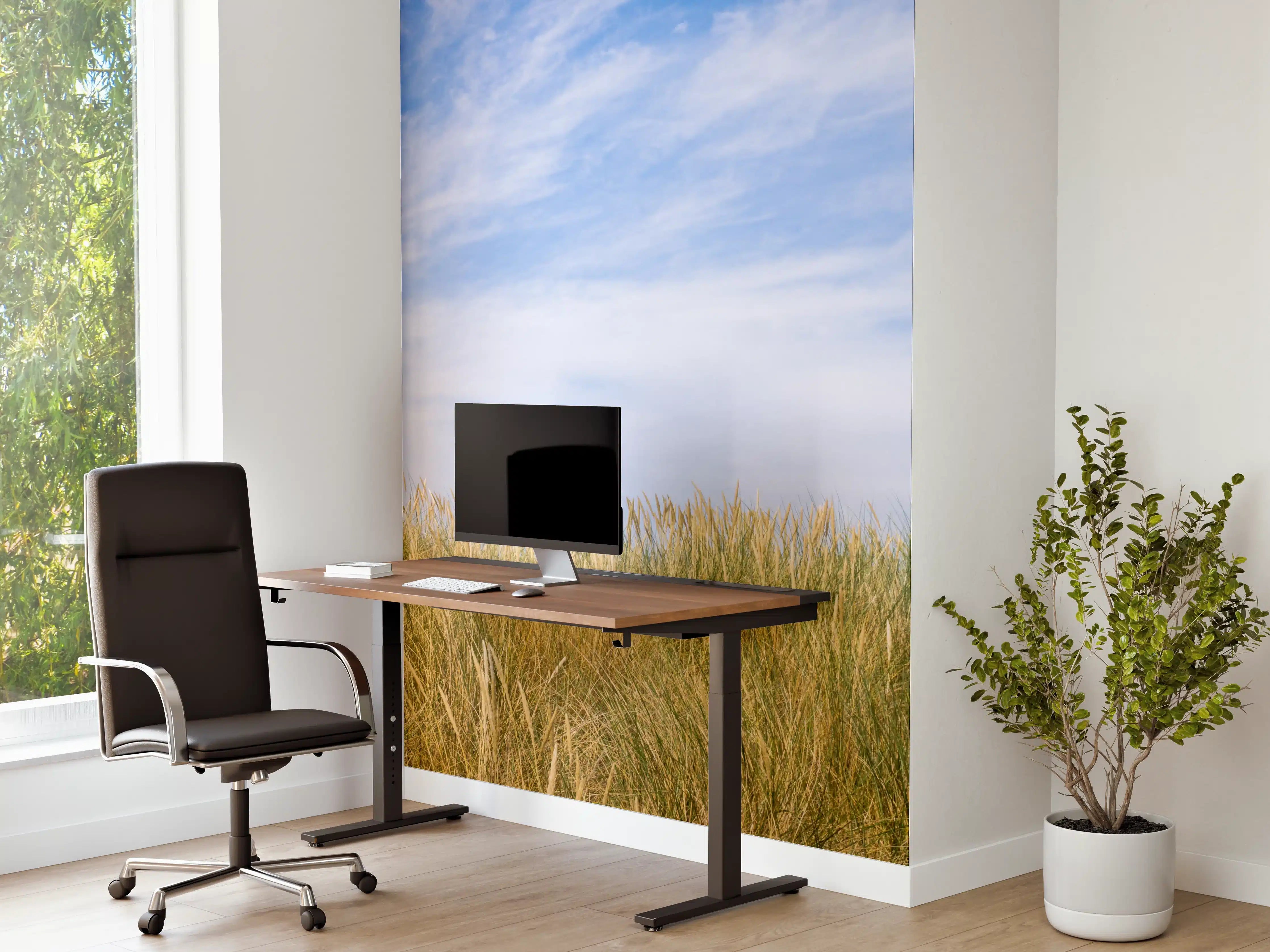 Büro Wandgestaltung - Idyllische Küstenlandschaft mit Himmel