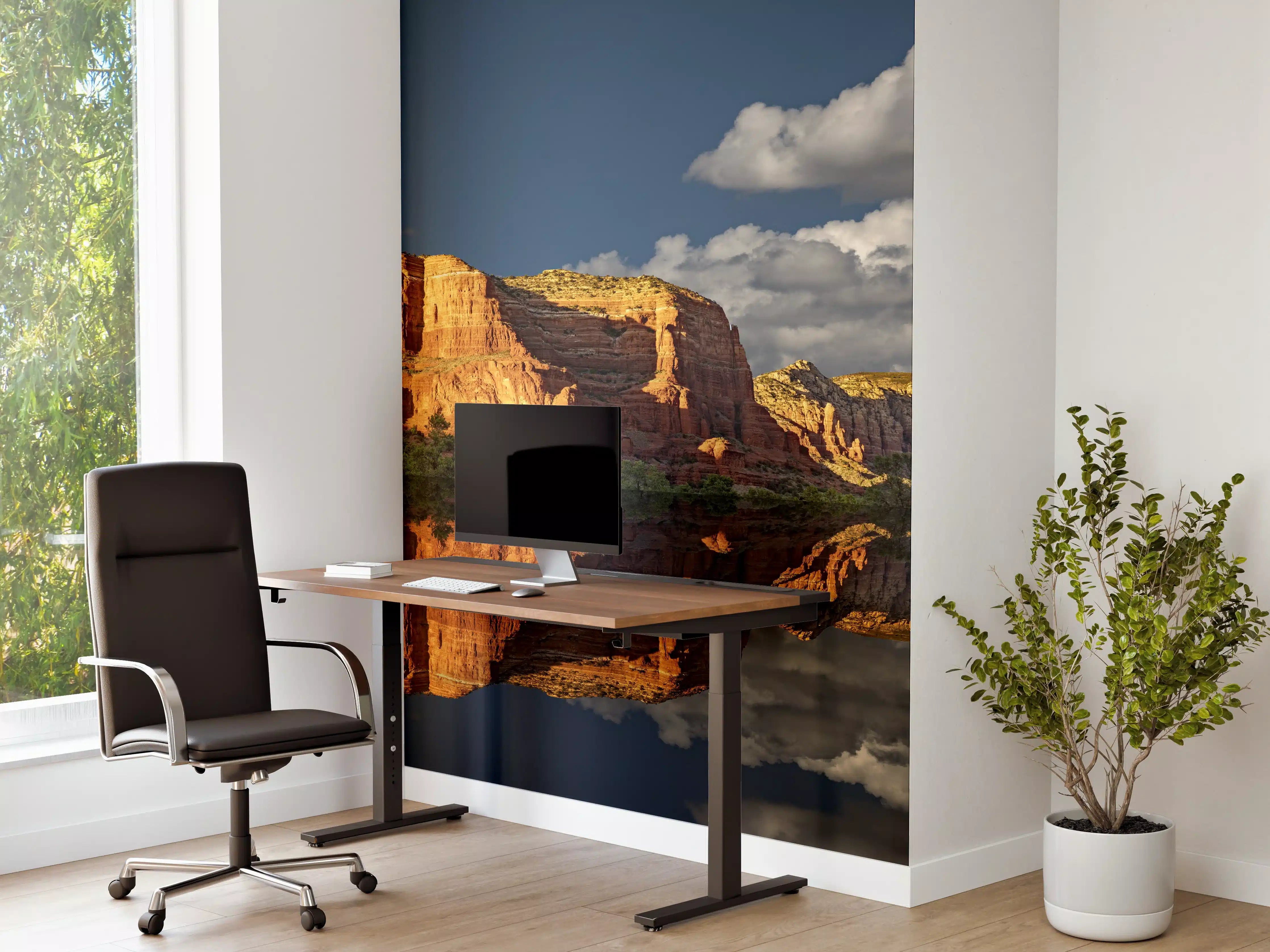 Büro Wandgestaltung - Jack's Canyon mit Wasser Reflektion