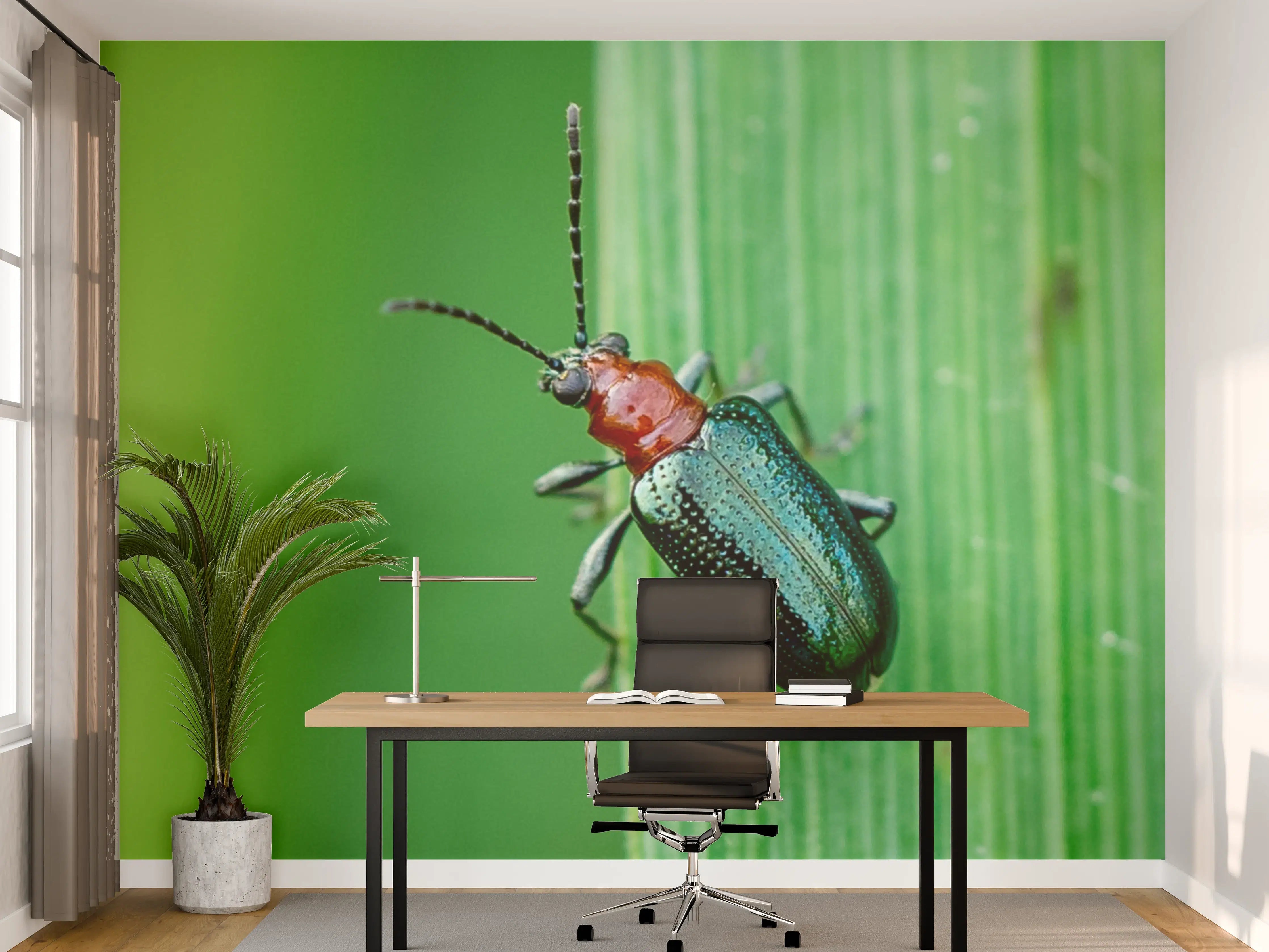 Büro Wandgestaltung - Käfer auf Blatt