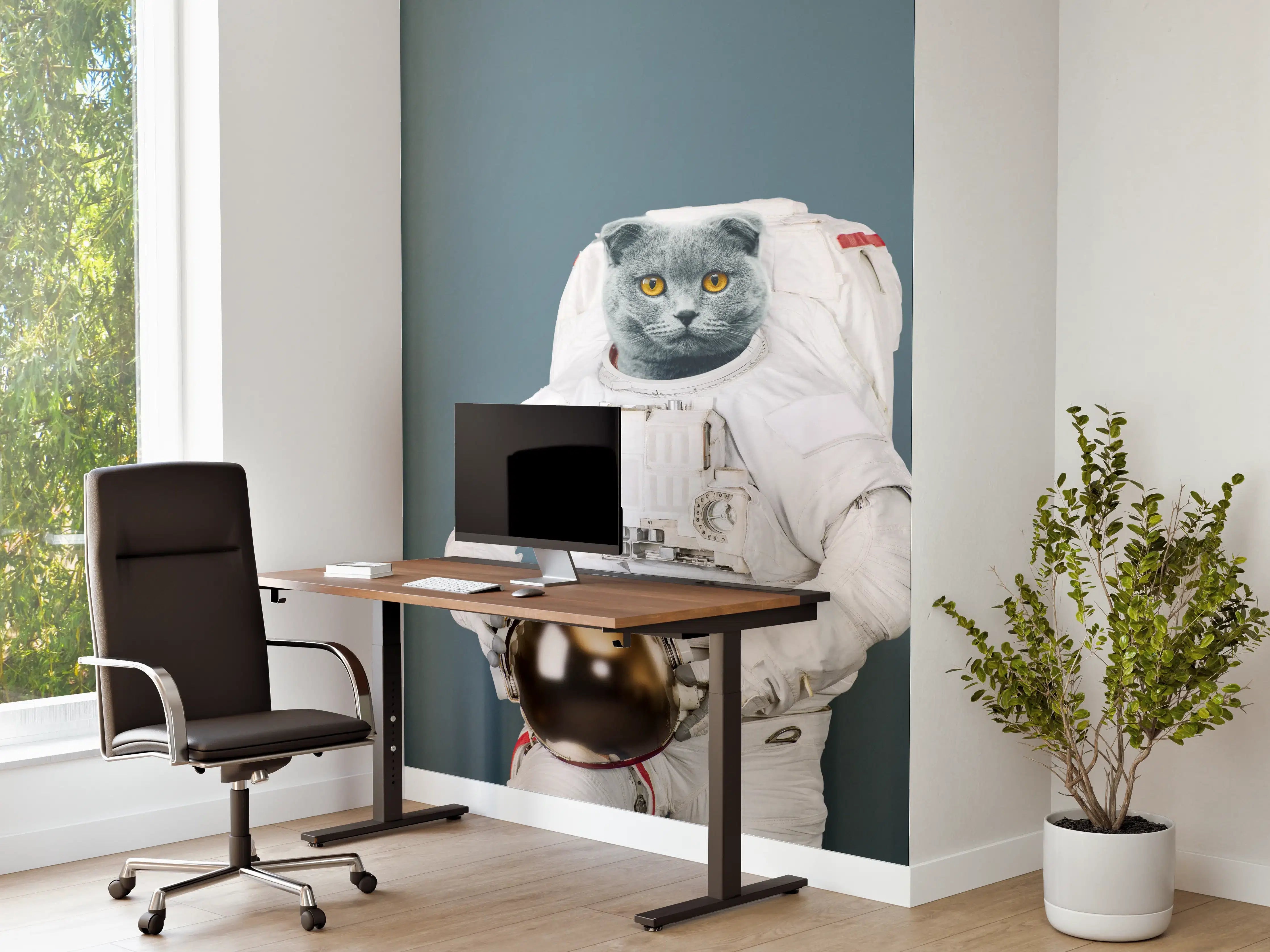 Büro Wandgestaltung - Katzen-Astronaut Grau-Helm