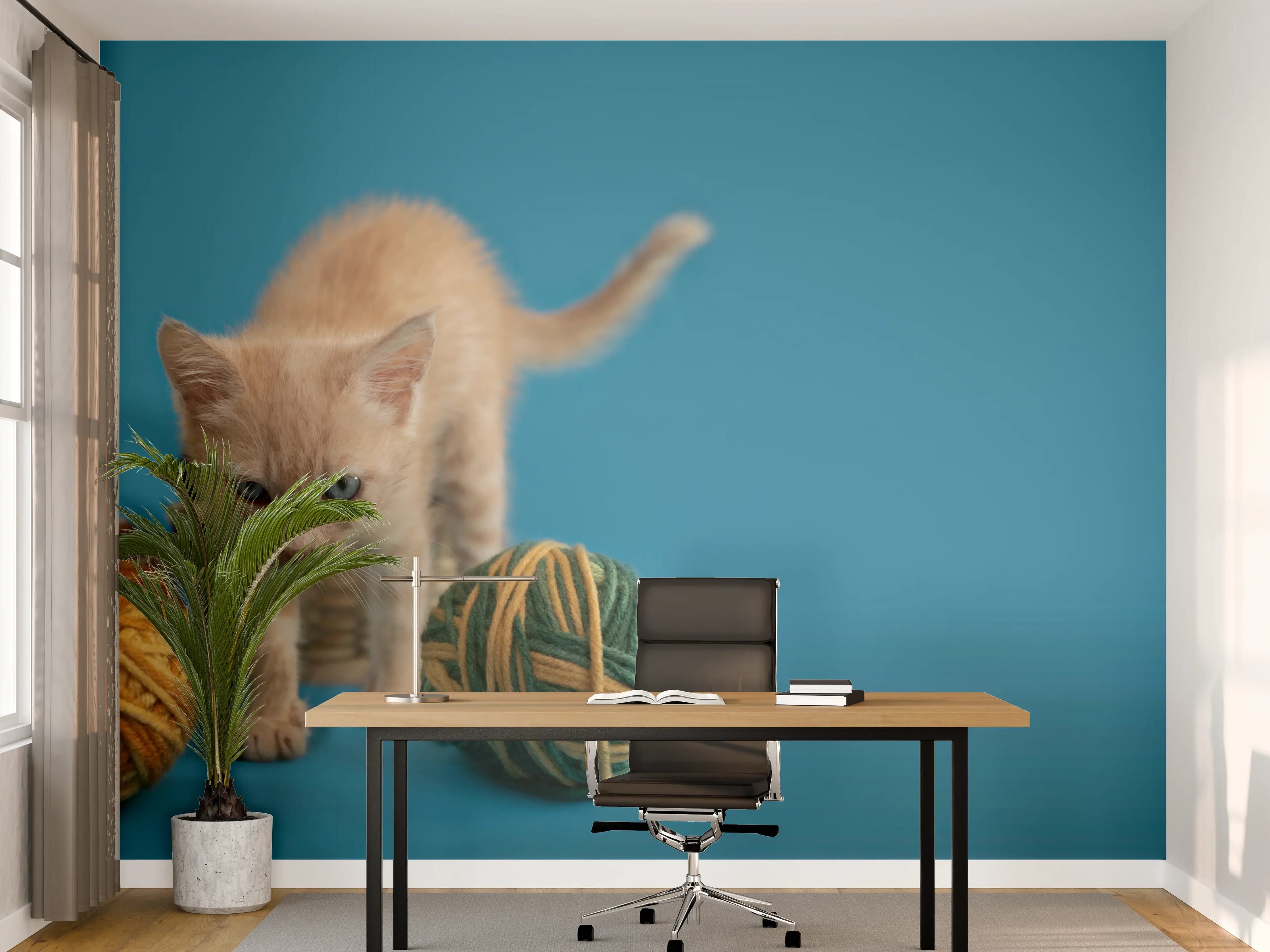 Büro Wandgestaltung - Katzenbaby spielt mit Wollknollen