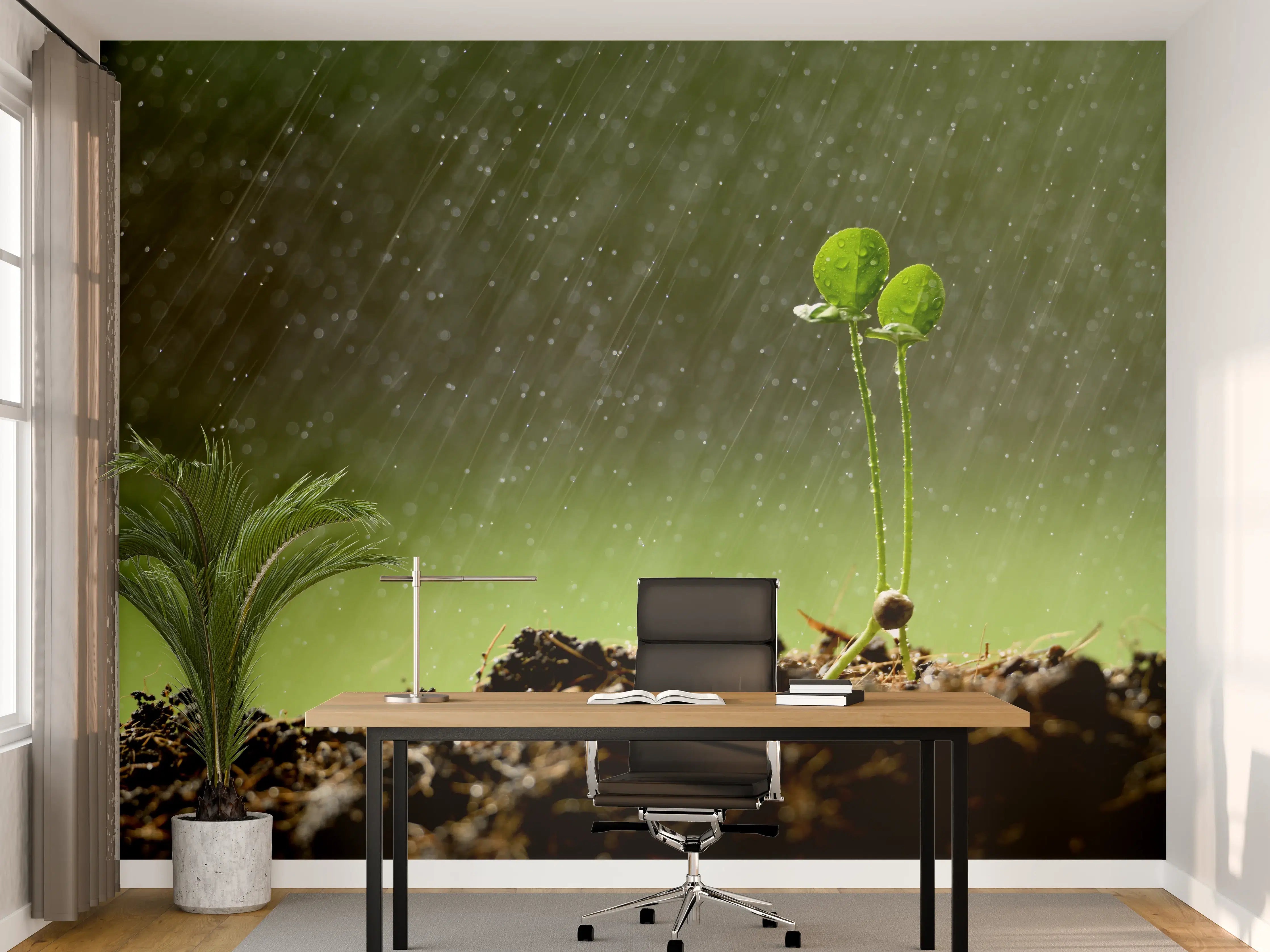 Büro Wandgestaltung - Keimende Pflanze bei Regen