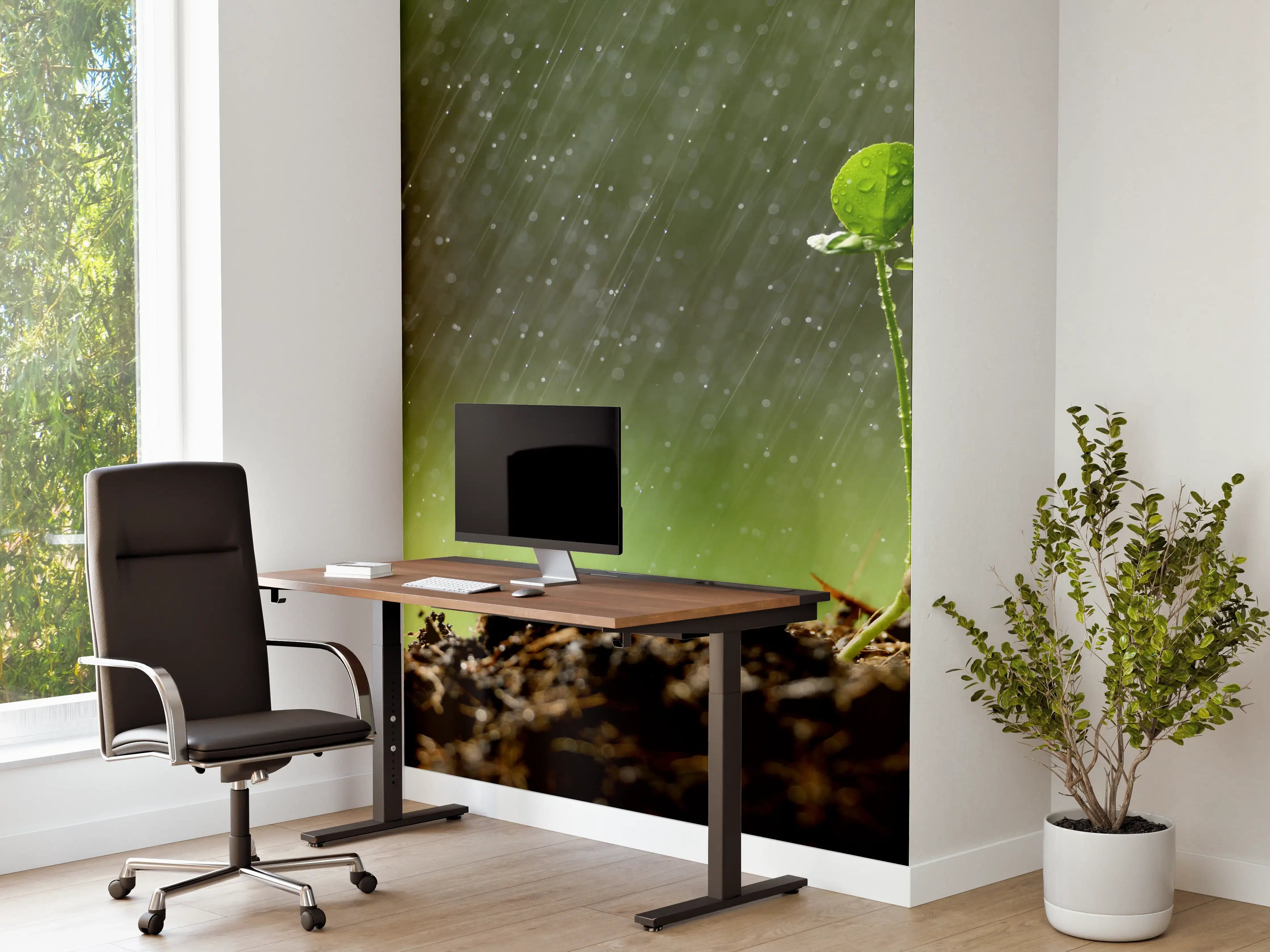 Büro Wandgestaltung - Keimende Pflanze bei Regen