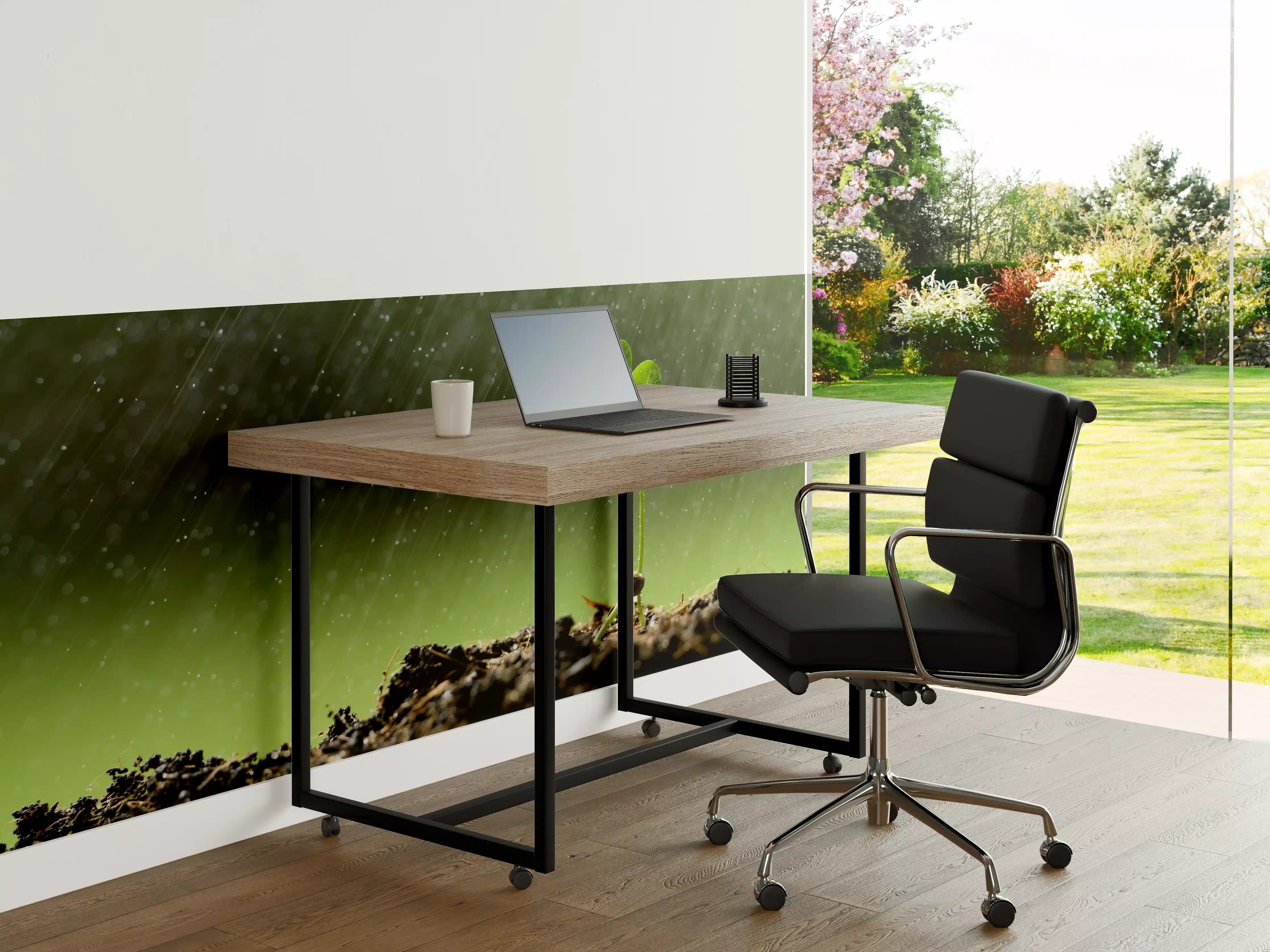 Büro Wandgestaltung - Keimende Pflanze bei Regen
