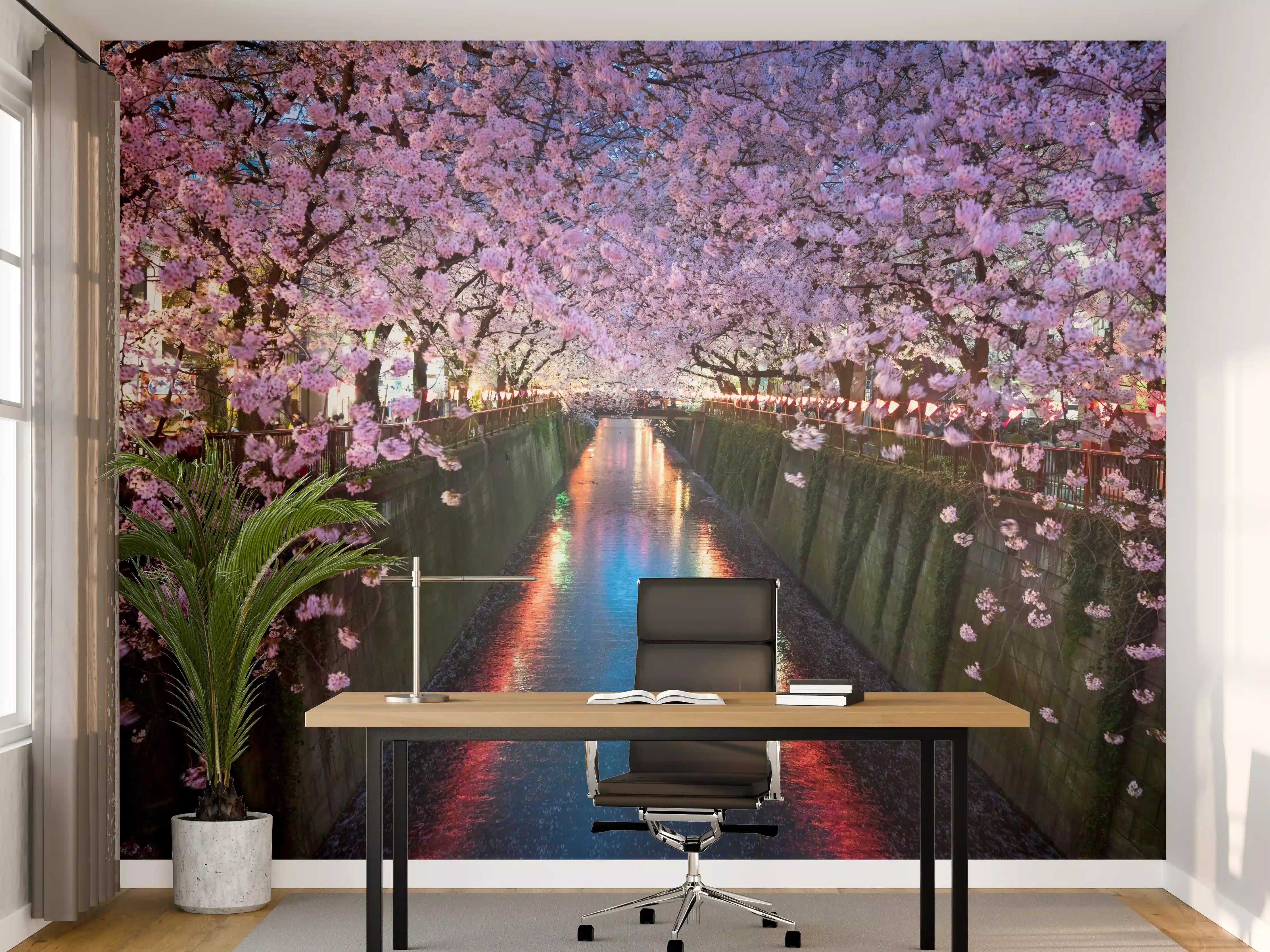 Büro Wandgestaltung - Kirschblüten bei Nacht Nakameguro - Tokio