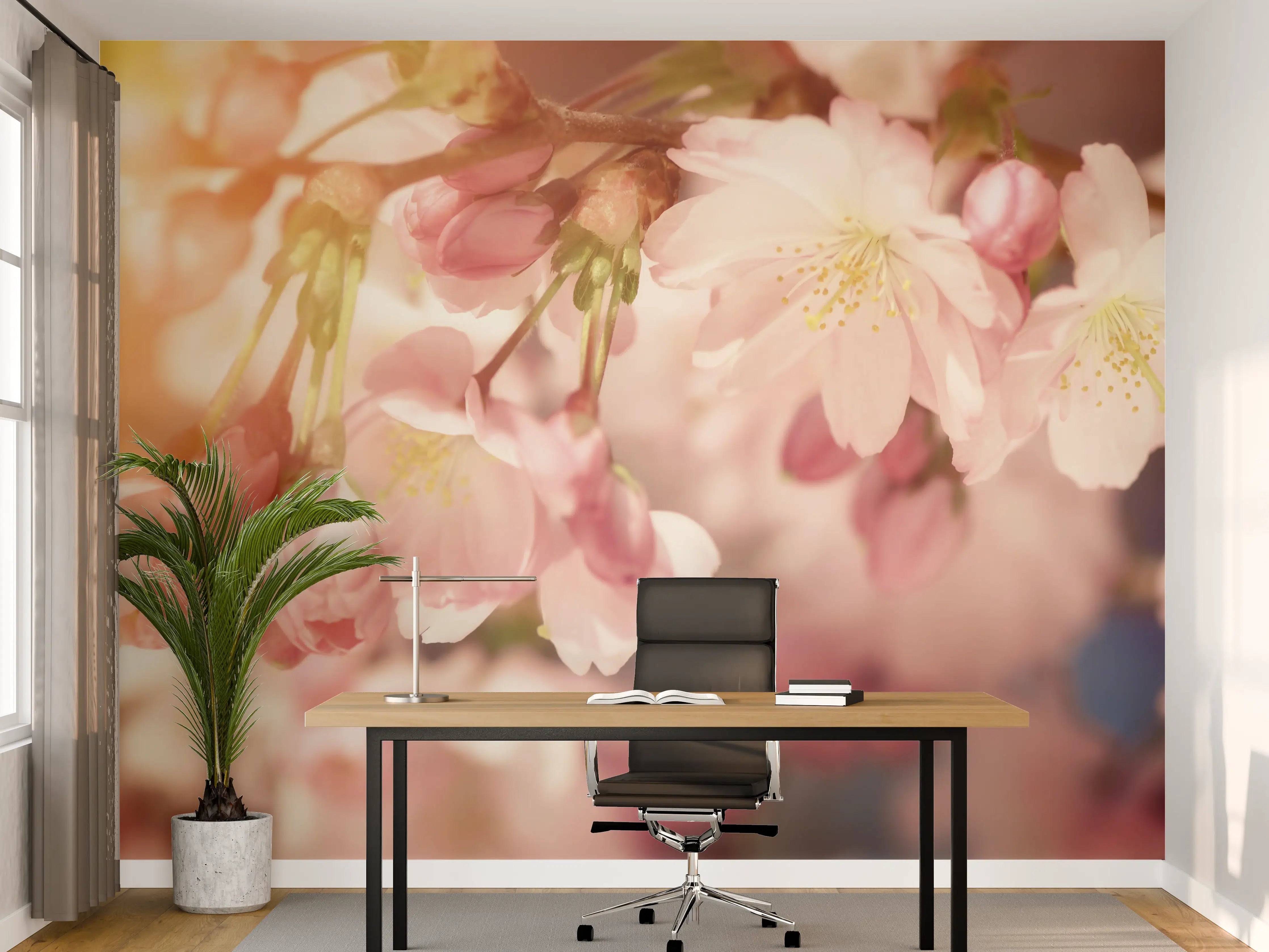 Büro Wandgestaltung - Kirschblüten im Sonnenlicht