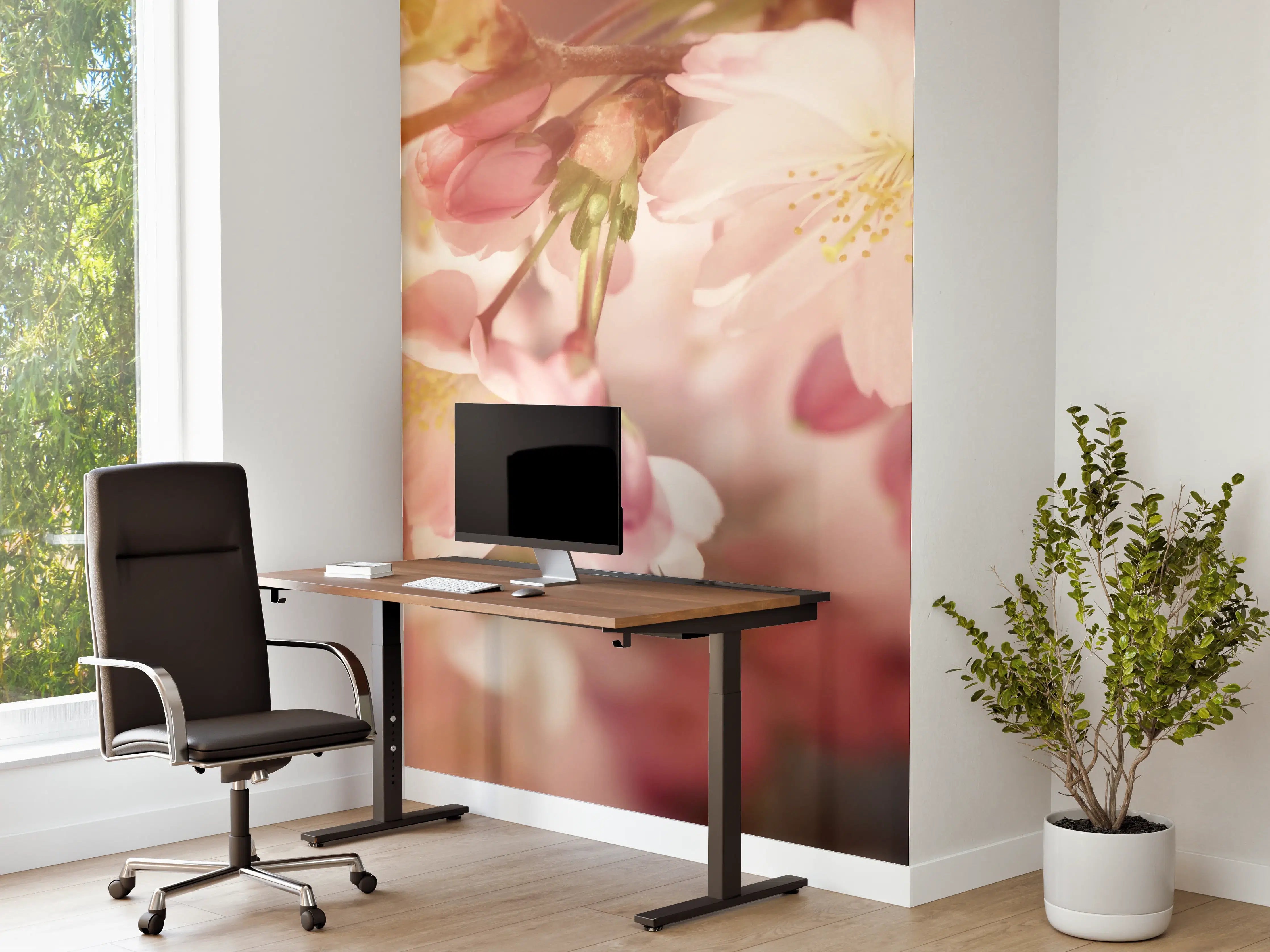 Büro Wandgestaltung - Kirschblüten im Sonnenlicht