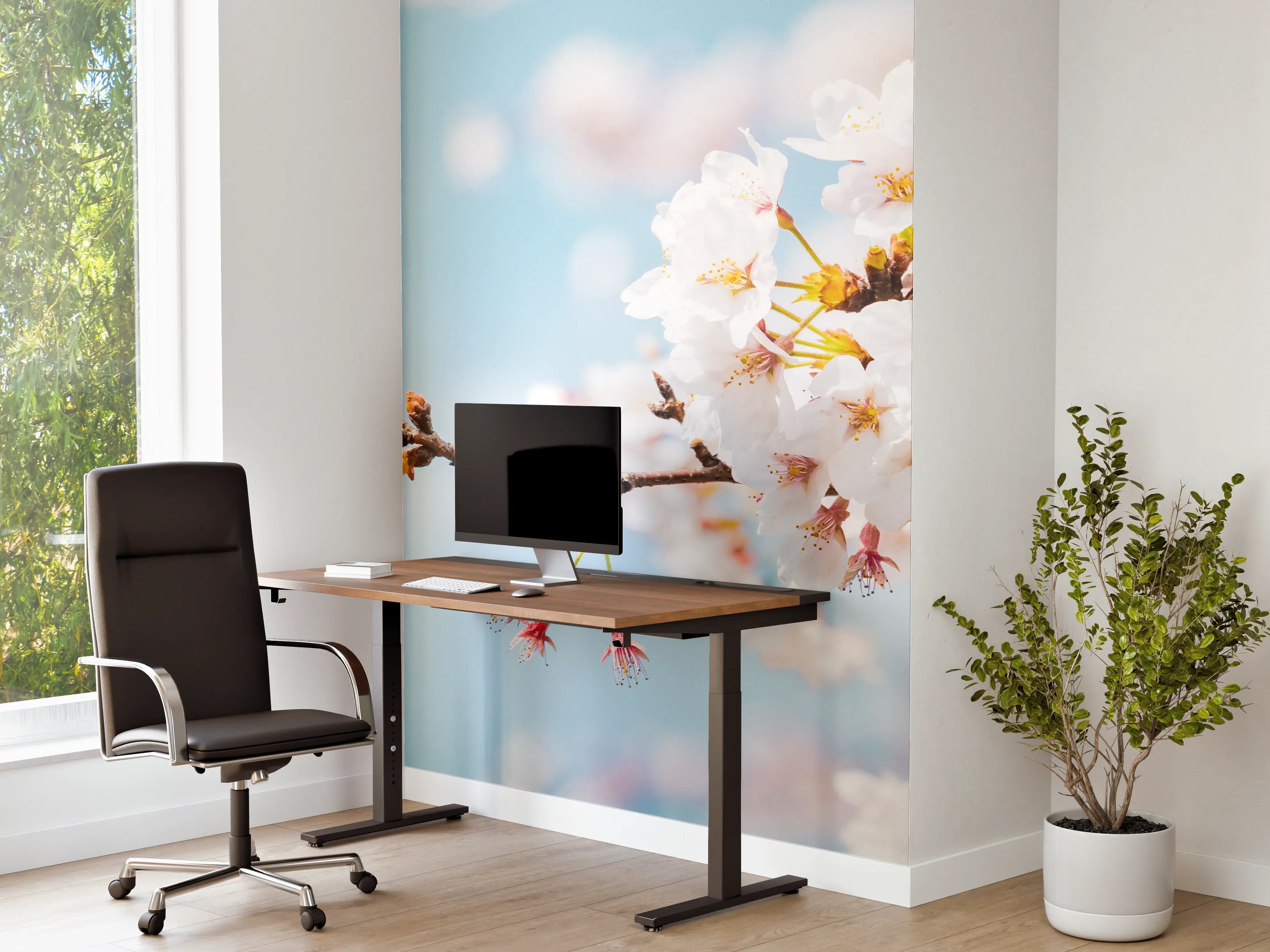Büro Wandgestaltung - Kirschblüten in voller Blüte