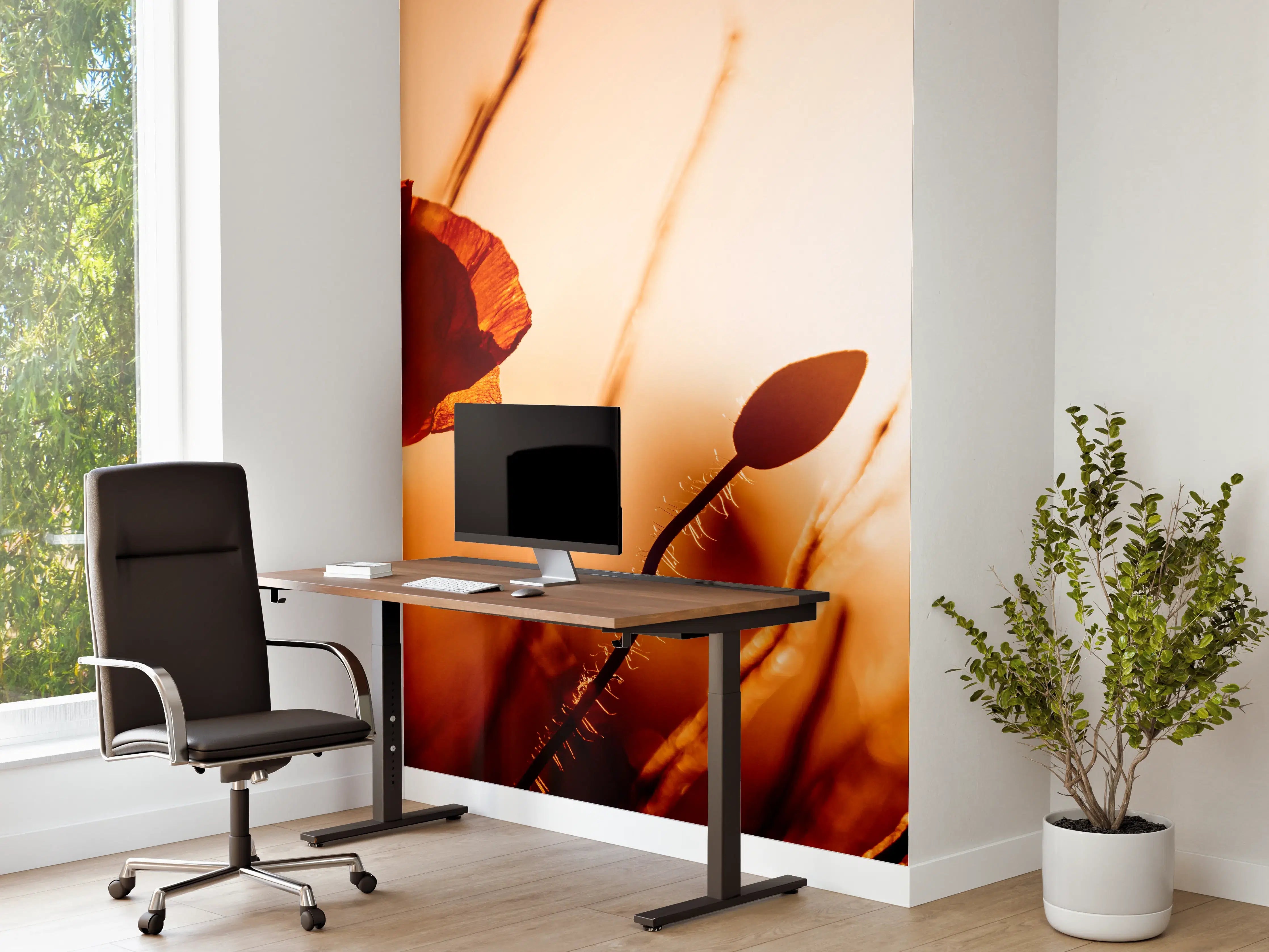 Büro Wandgestaltung - Klatschmohn bei Sonnenuntergang