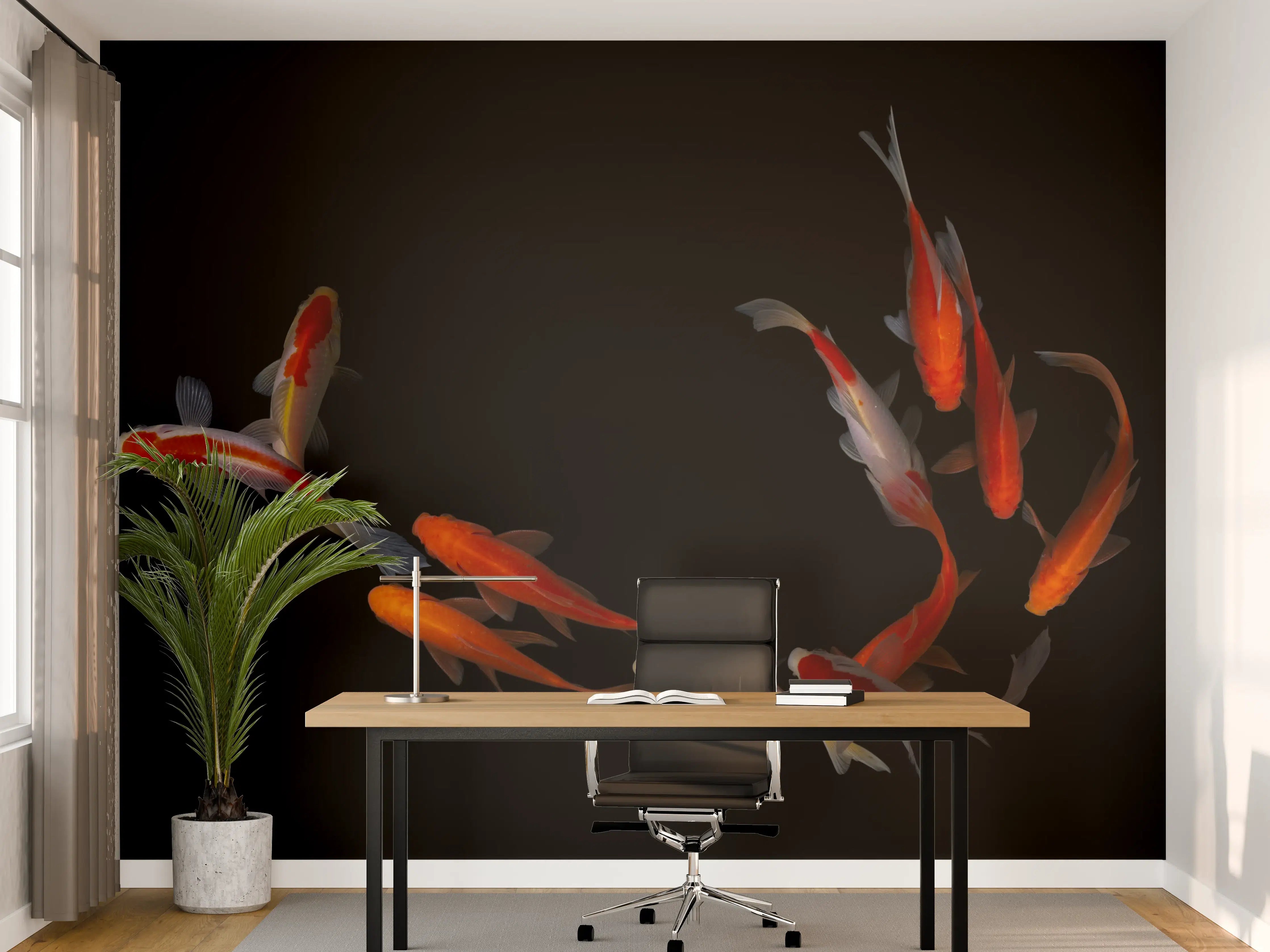 Büro Wandgestaltung - Koi Fische auf schwarzem Hintergrund