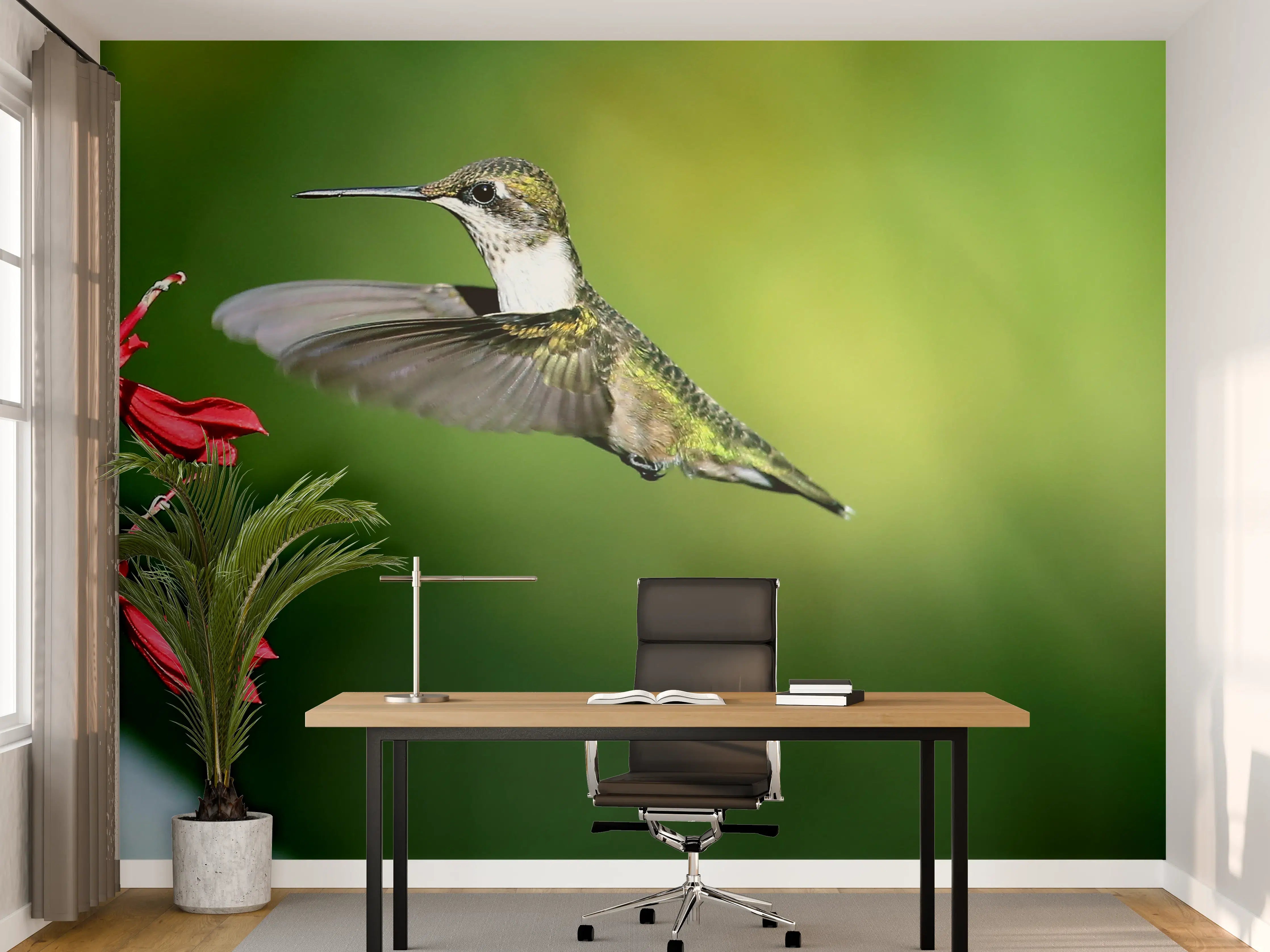 Büro Wandgestaltung - Kolibri-Weibchen im Flug