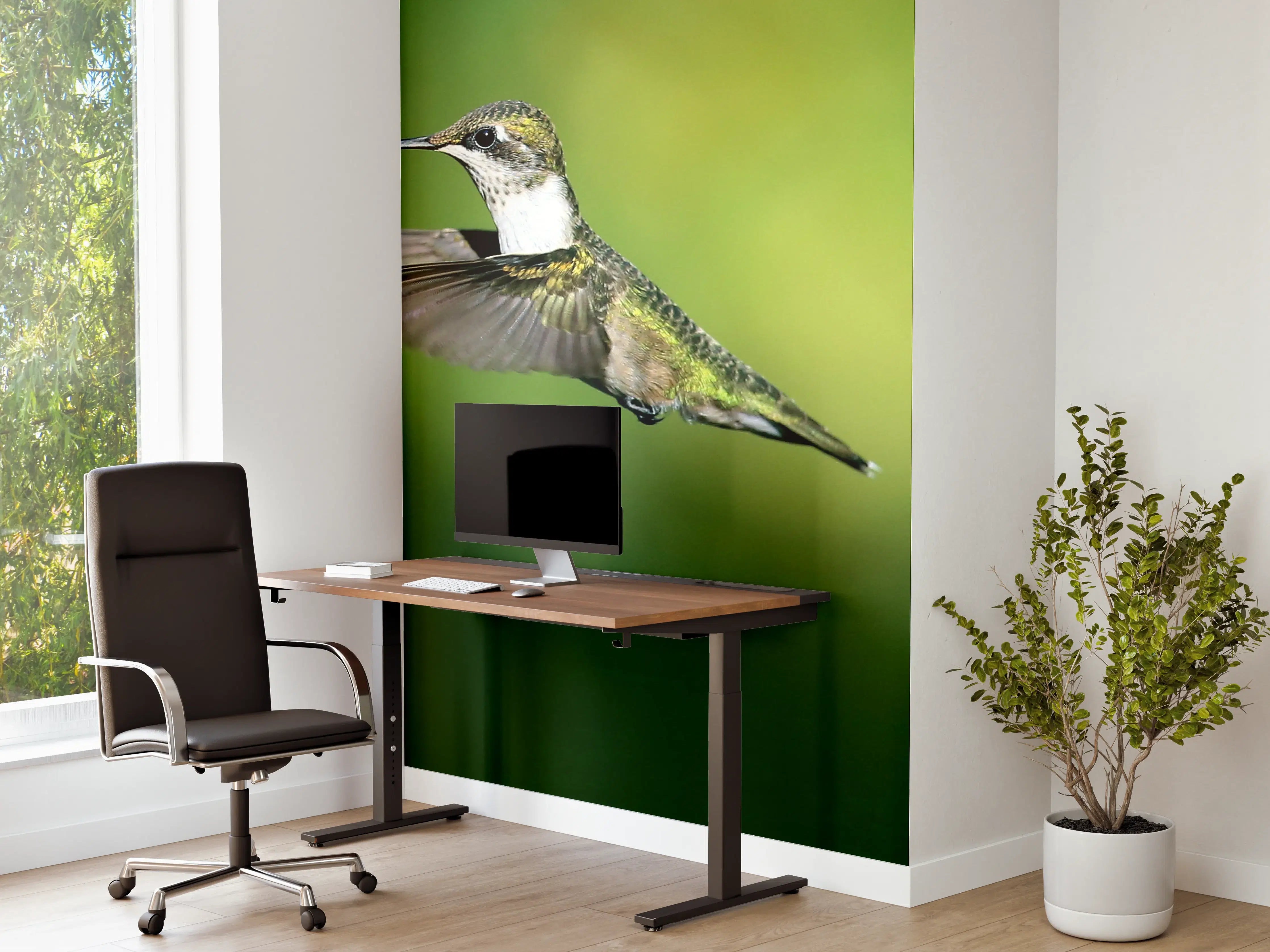 Büro Wandgestaltung - Kolibri-Weibchen im Flug