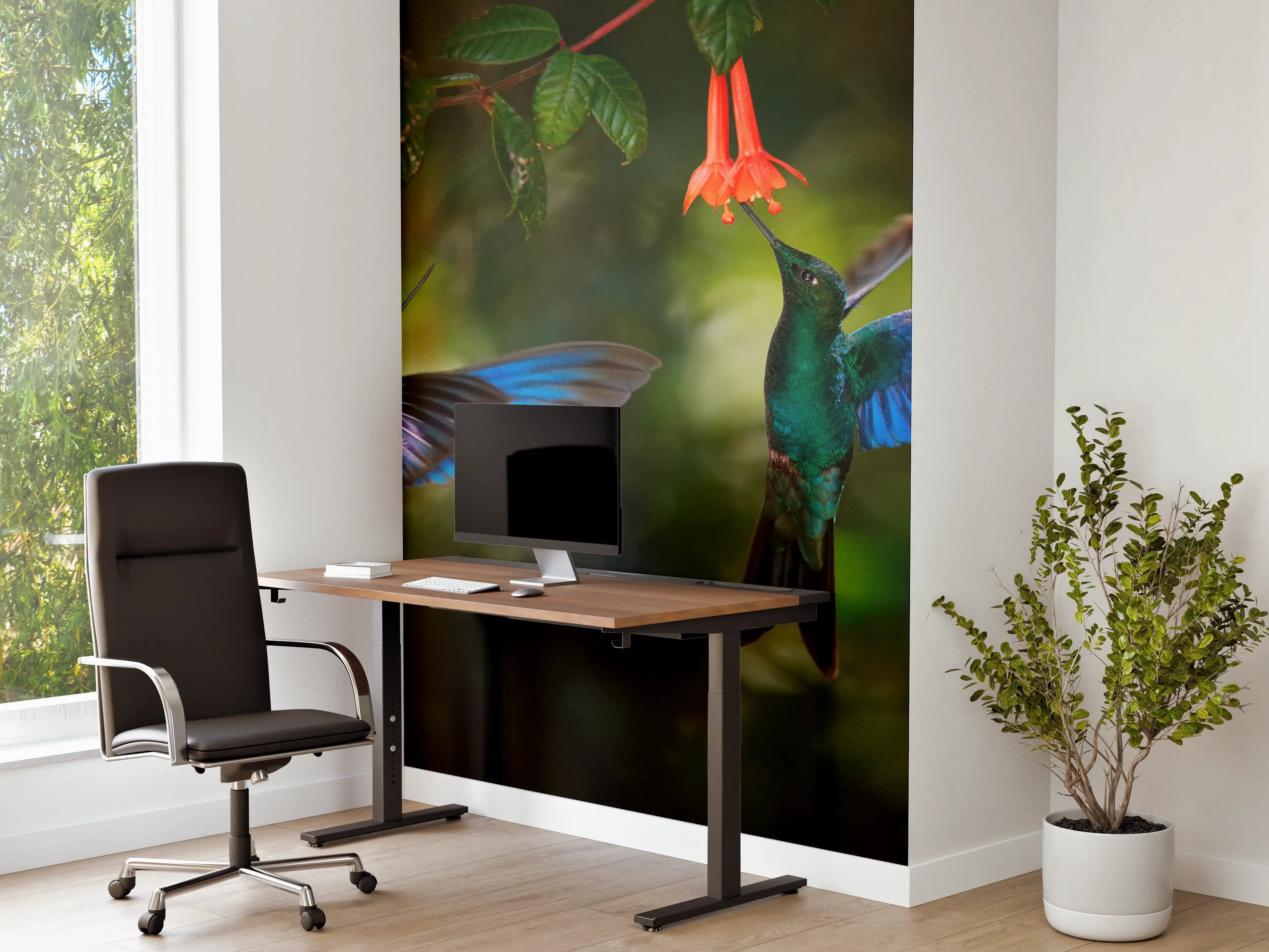 Büro Wandgestaltung - Kolibris an der Blüte