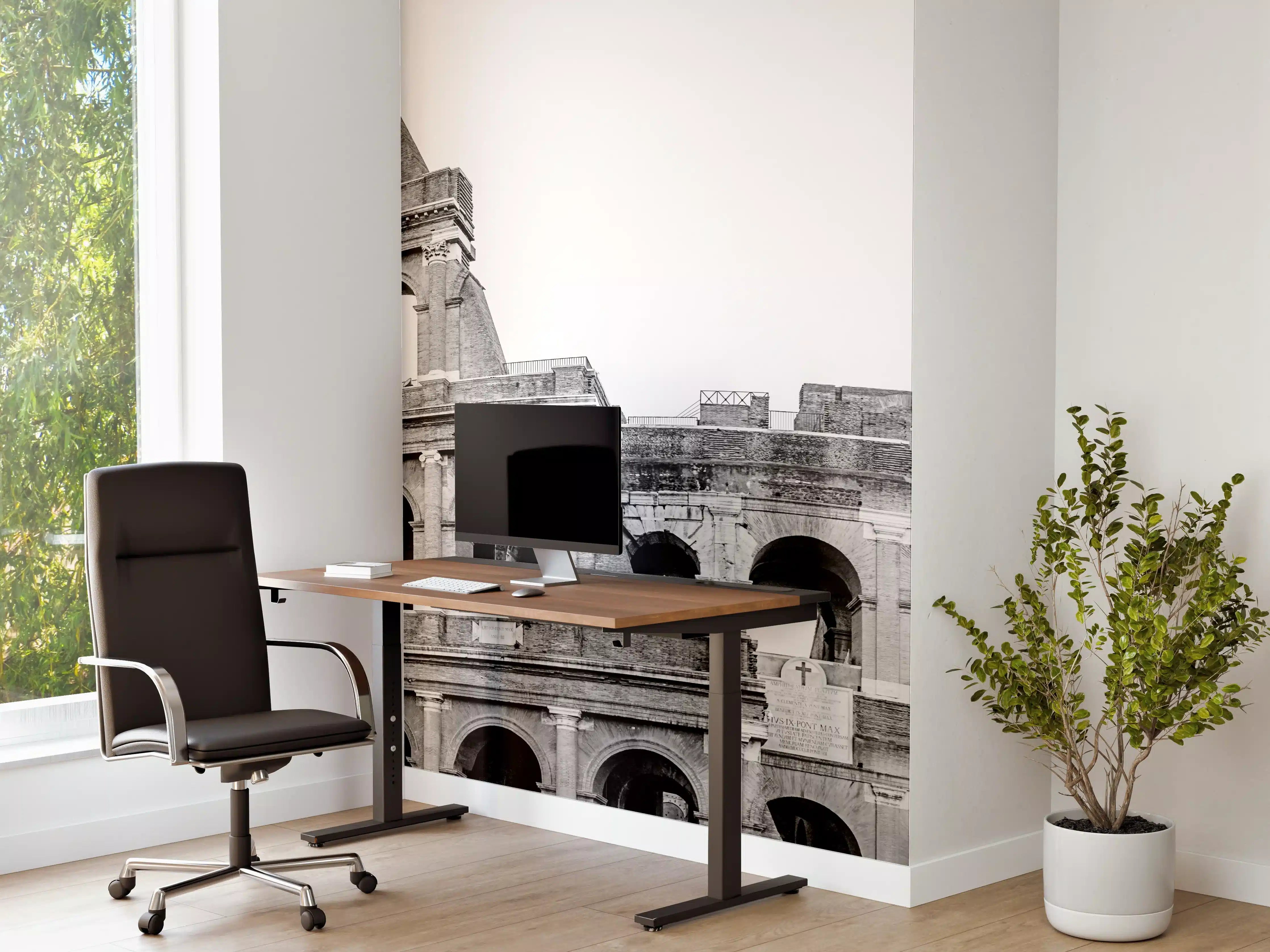 Büro Wandgestaltung - Kolosseum Schwarz-Weiß Panorama