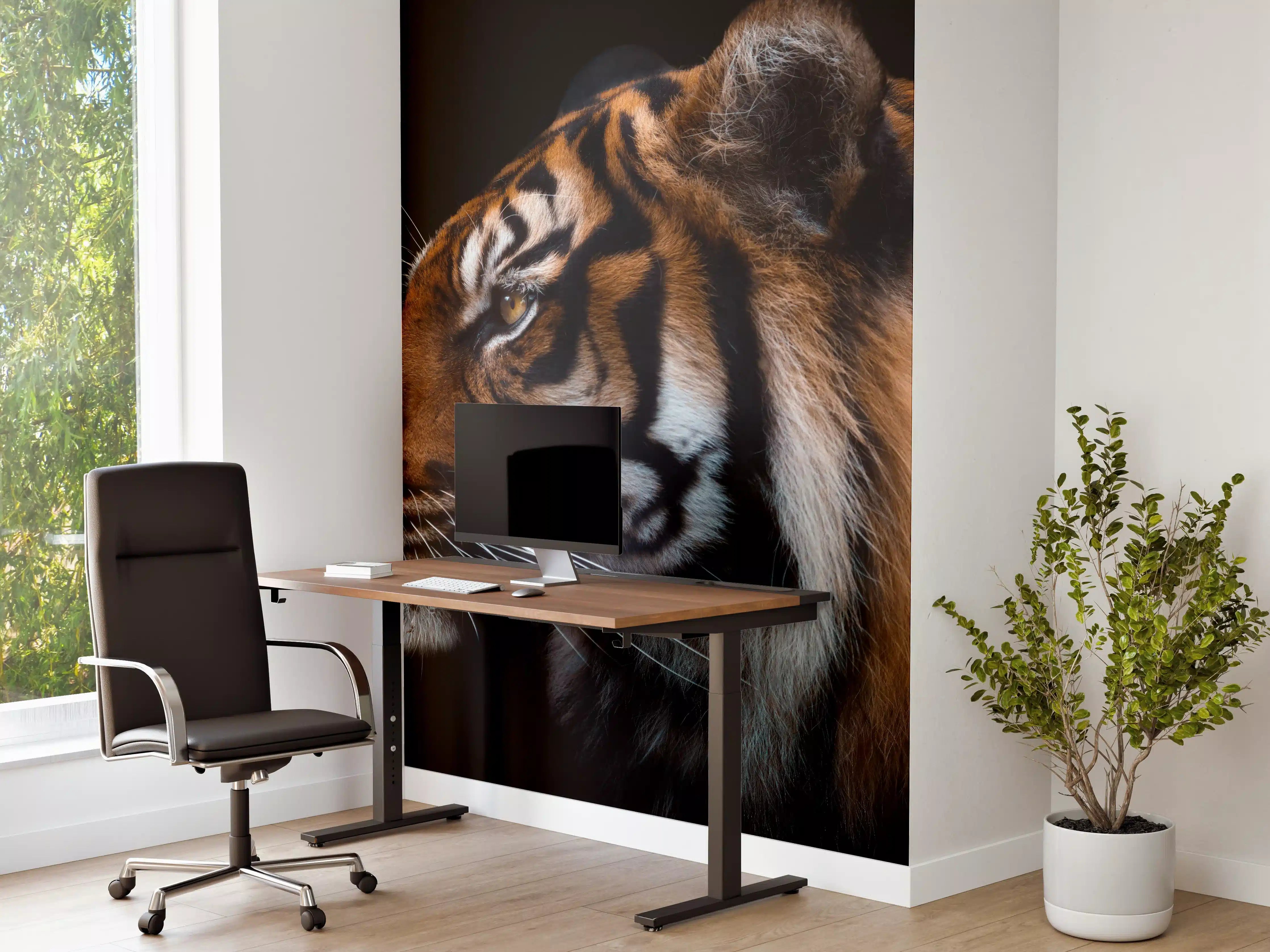 Büro Wandgestaltung - Kopf eines Sumatra-Tigers geschlossen