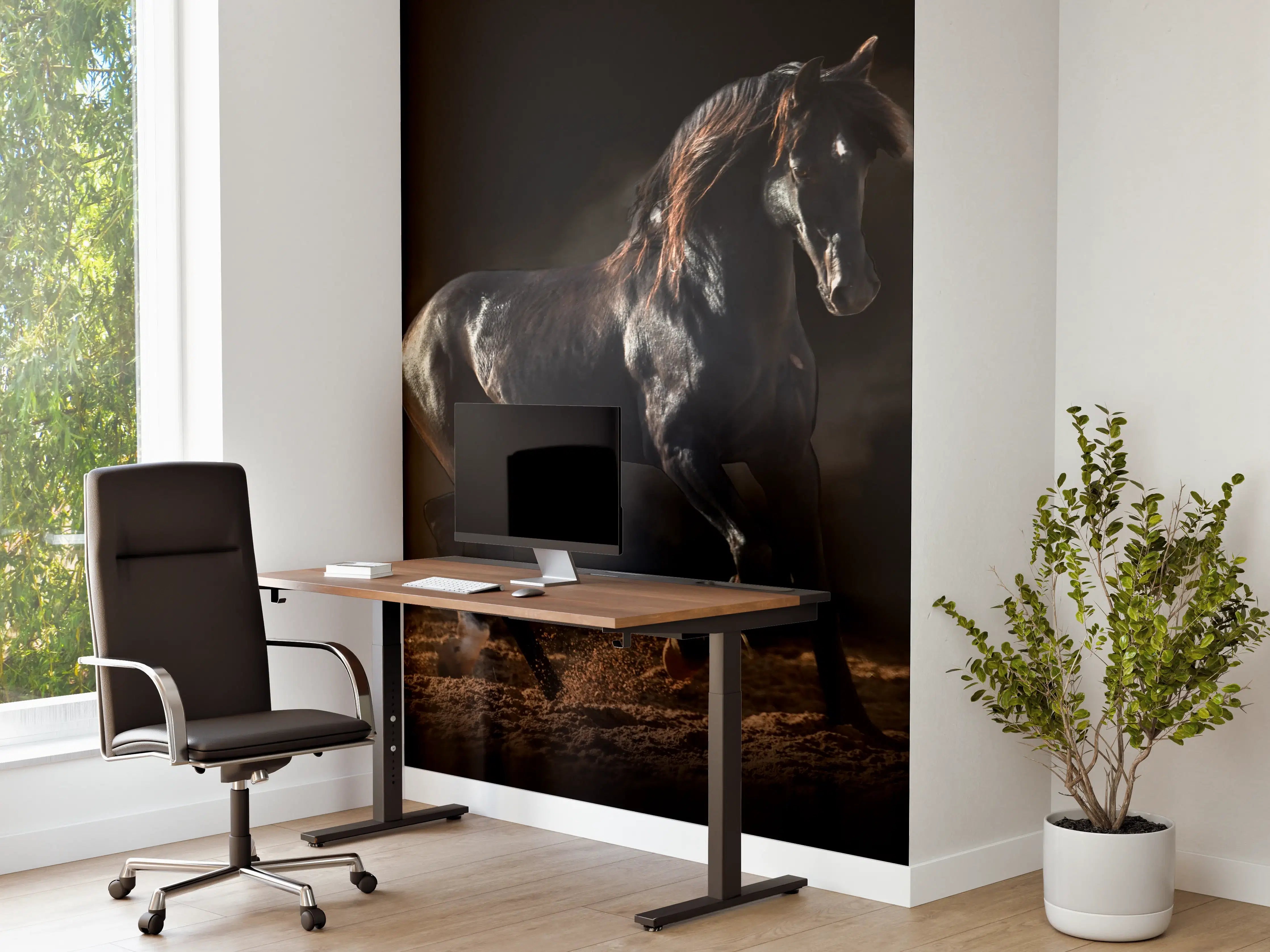 Büro Wandgestaltung - Kunstfoto eines schwarzen Pferdes
