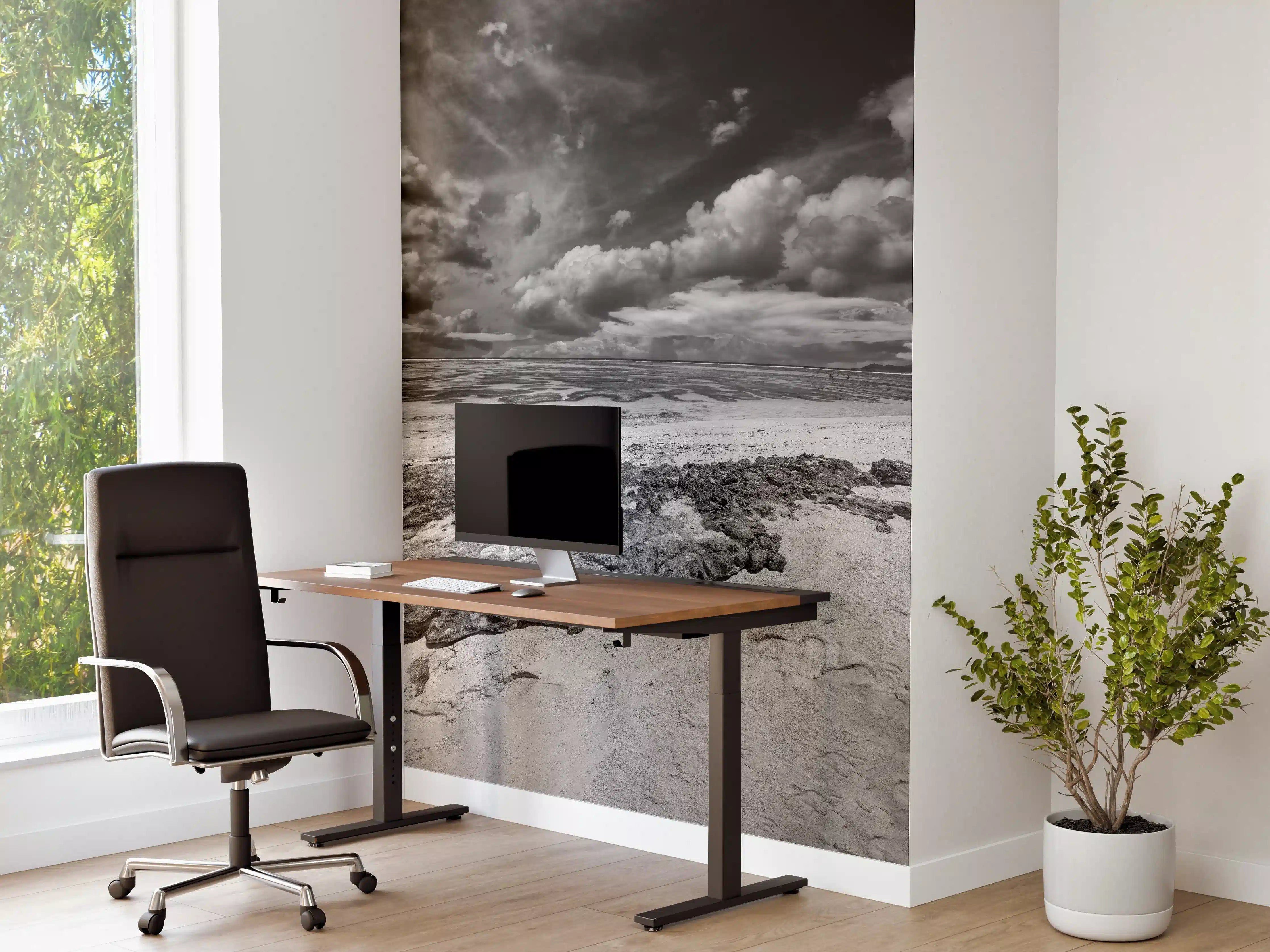Büro Wandgestaltung - La Digue Meer und Felsen