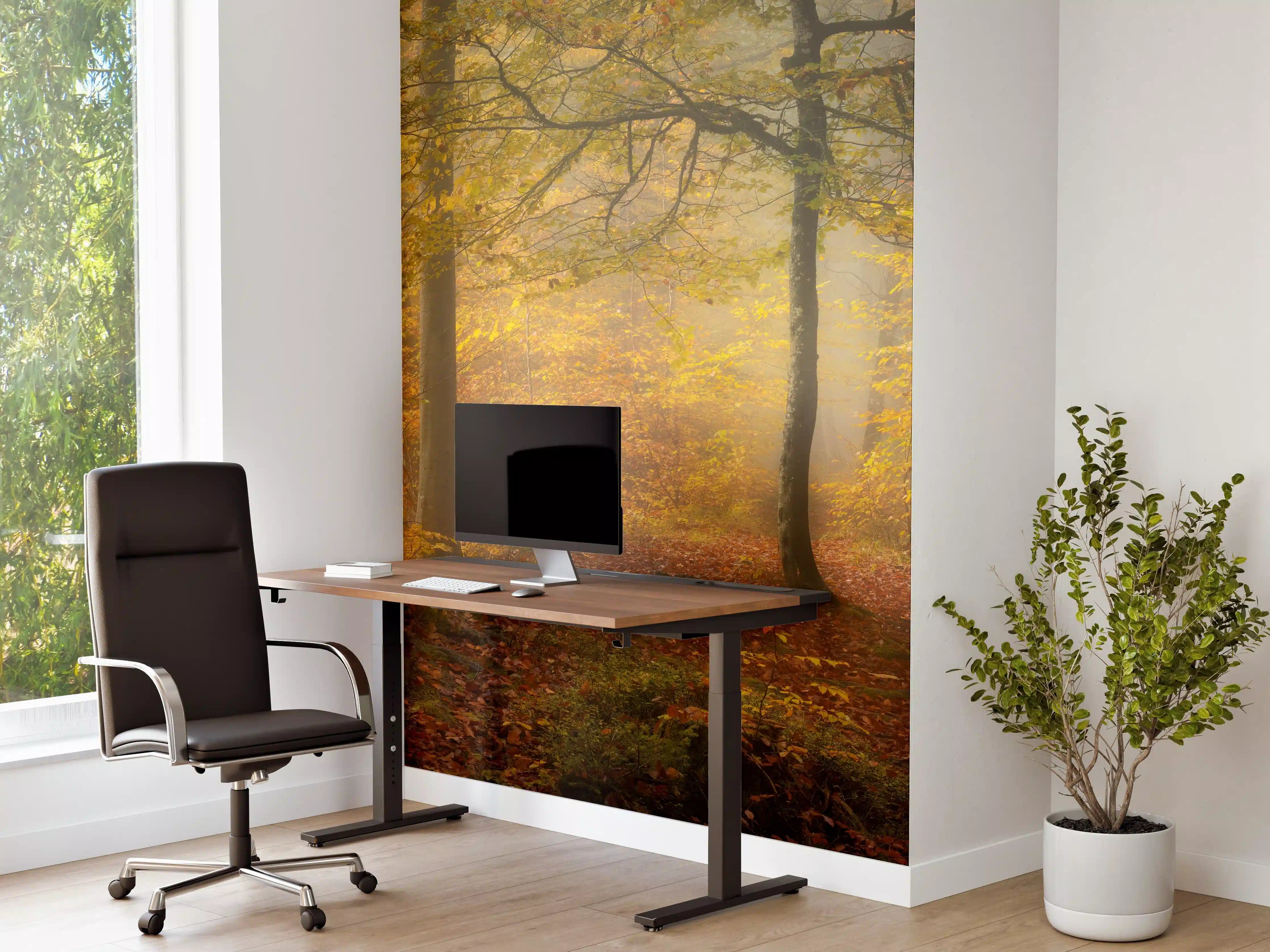 Büro Wandgestaltung - Laub im Wald
