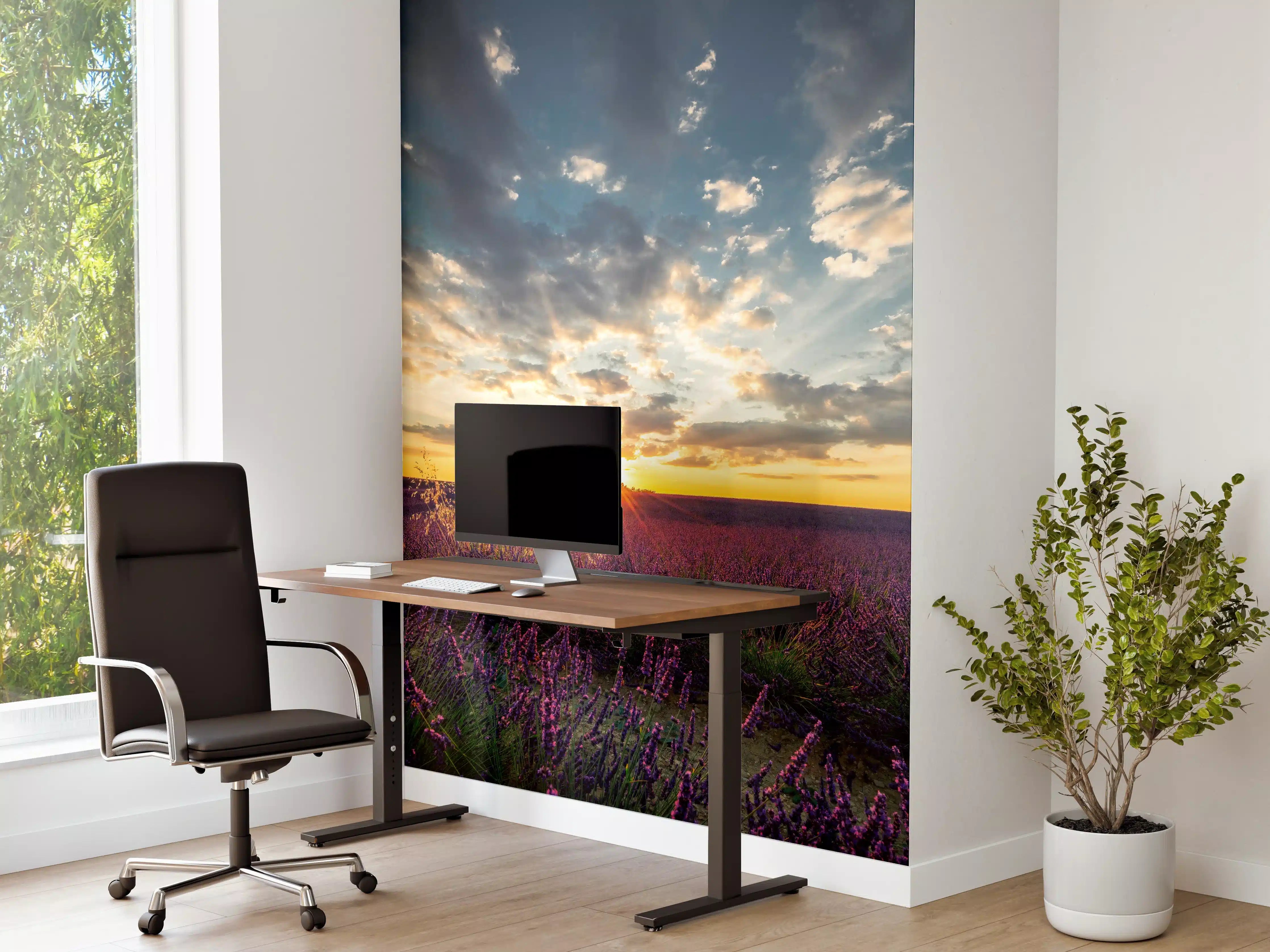 Büro Wandgestaltung - Lavendel Feld im Sommer in der Provence