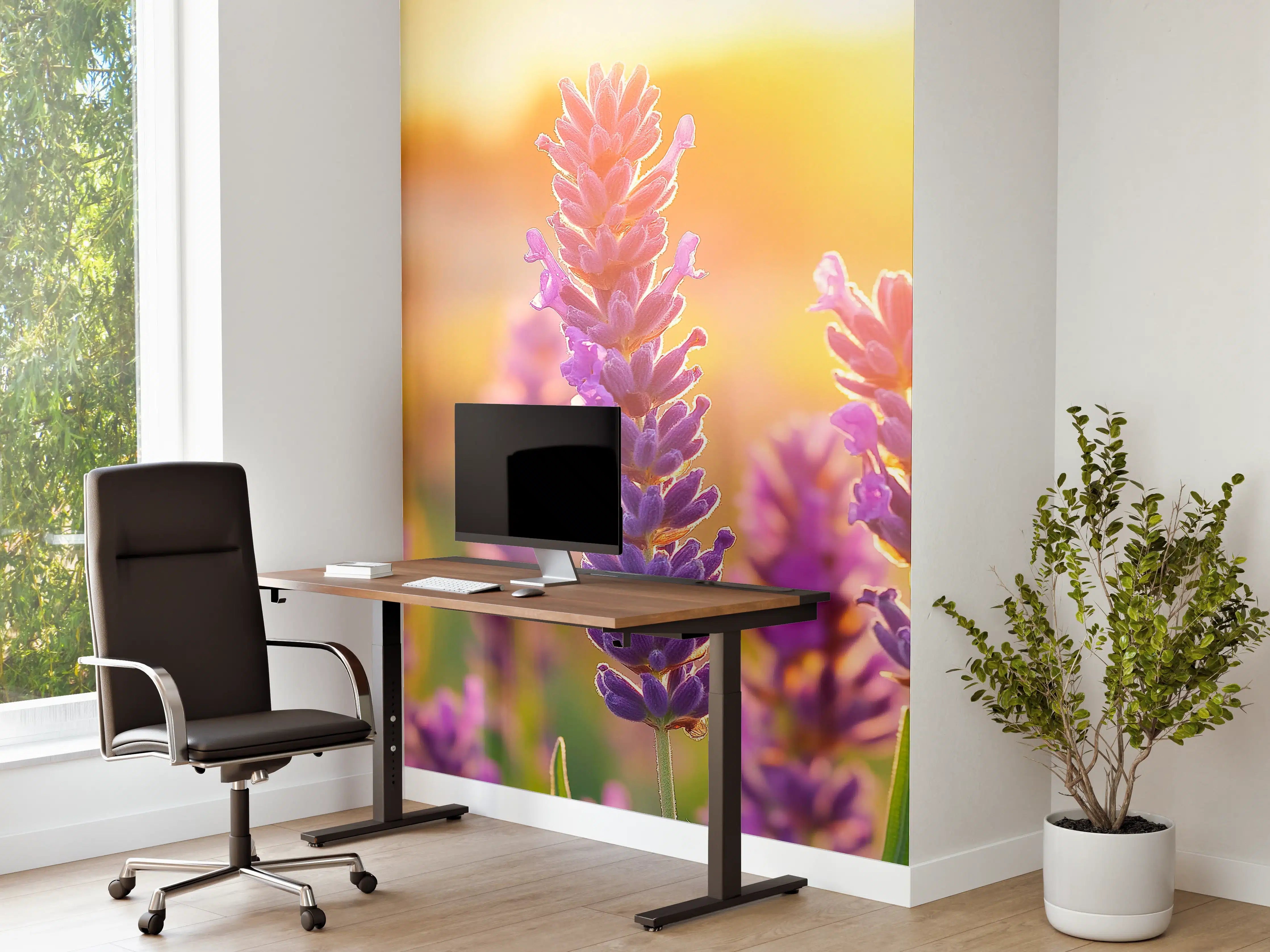 Büro Wandgestaltung - Lavendel in goldenem Abendlicht