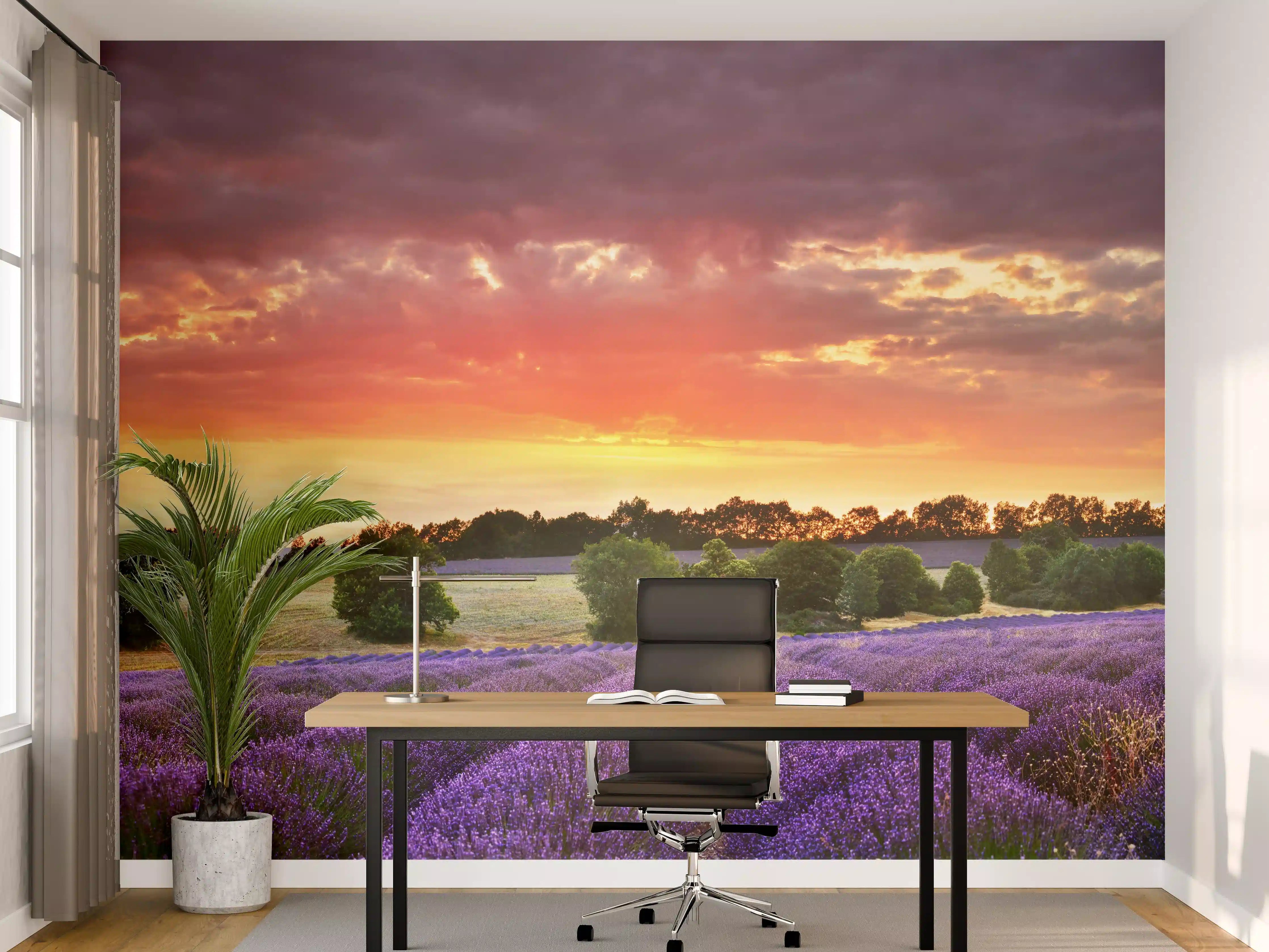 Büro Wandgestaltung - Lavendelfeld bei Sonnenuntergang