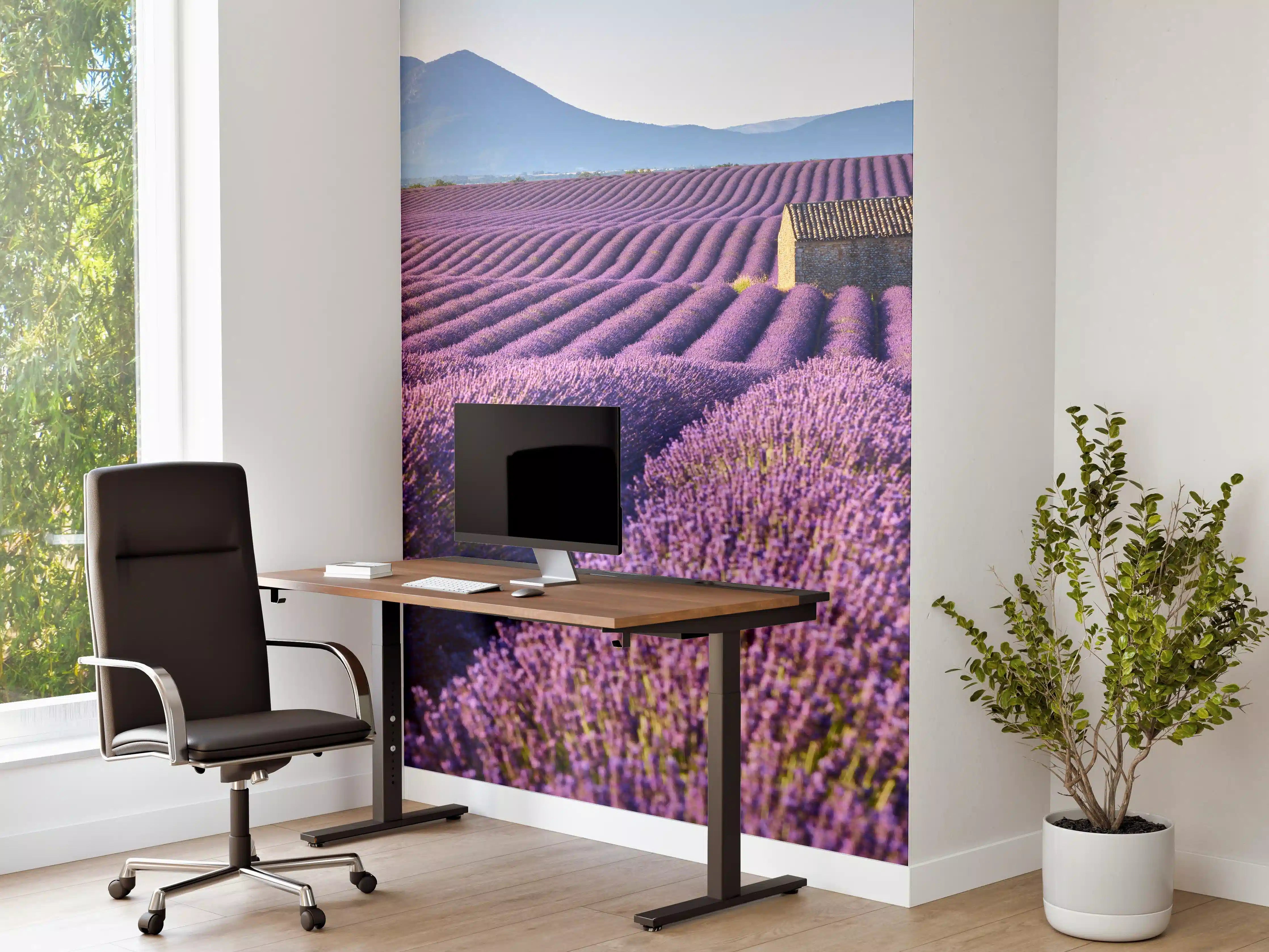 Büro Wandgestaltung - Lavendelfelder auf dem Plateau de Valensole