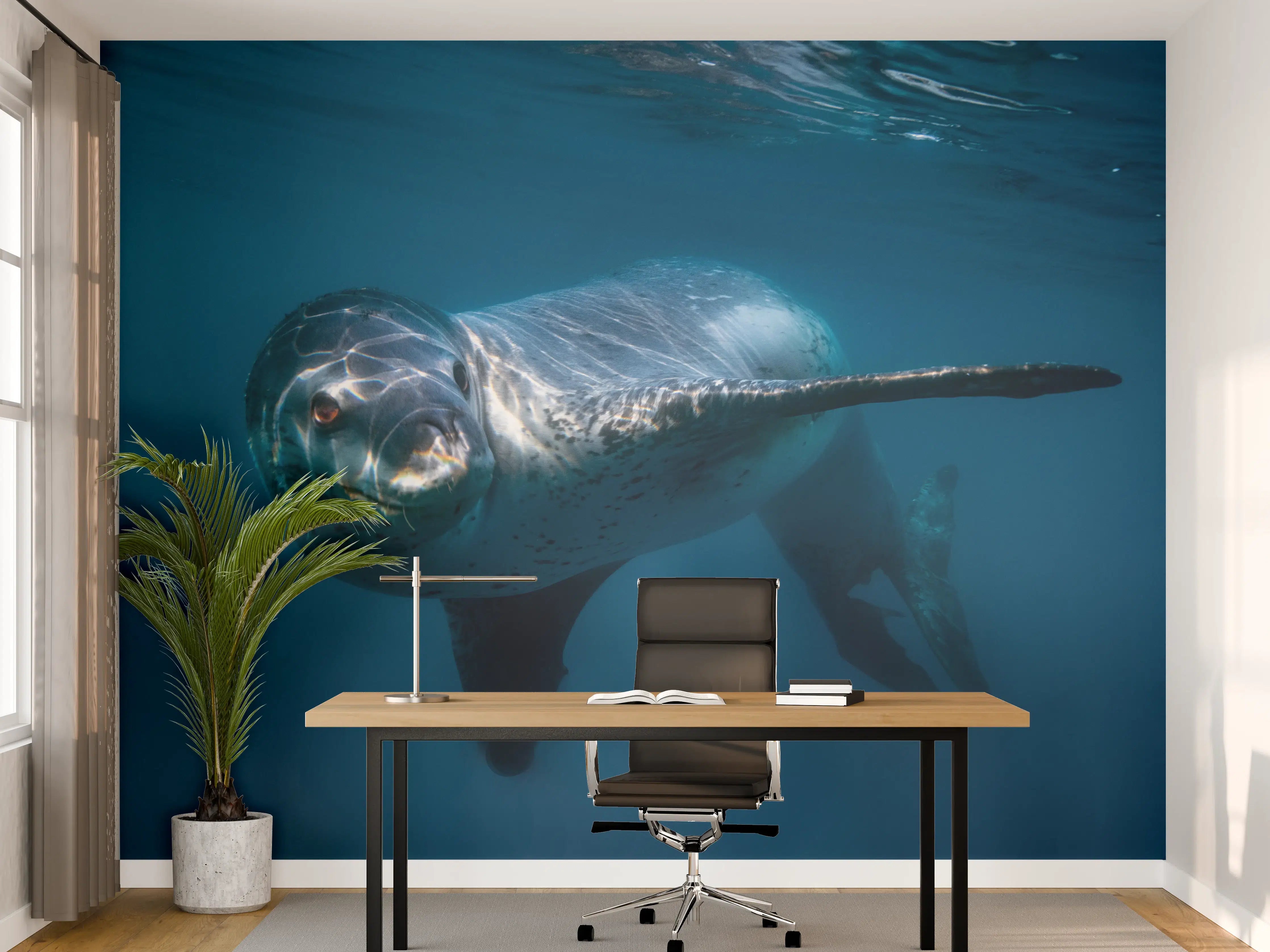 Büro Wandgestaltung - Leopardenrobbe alleine unter Wasser im Ozean
