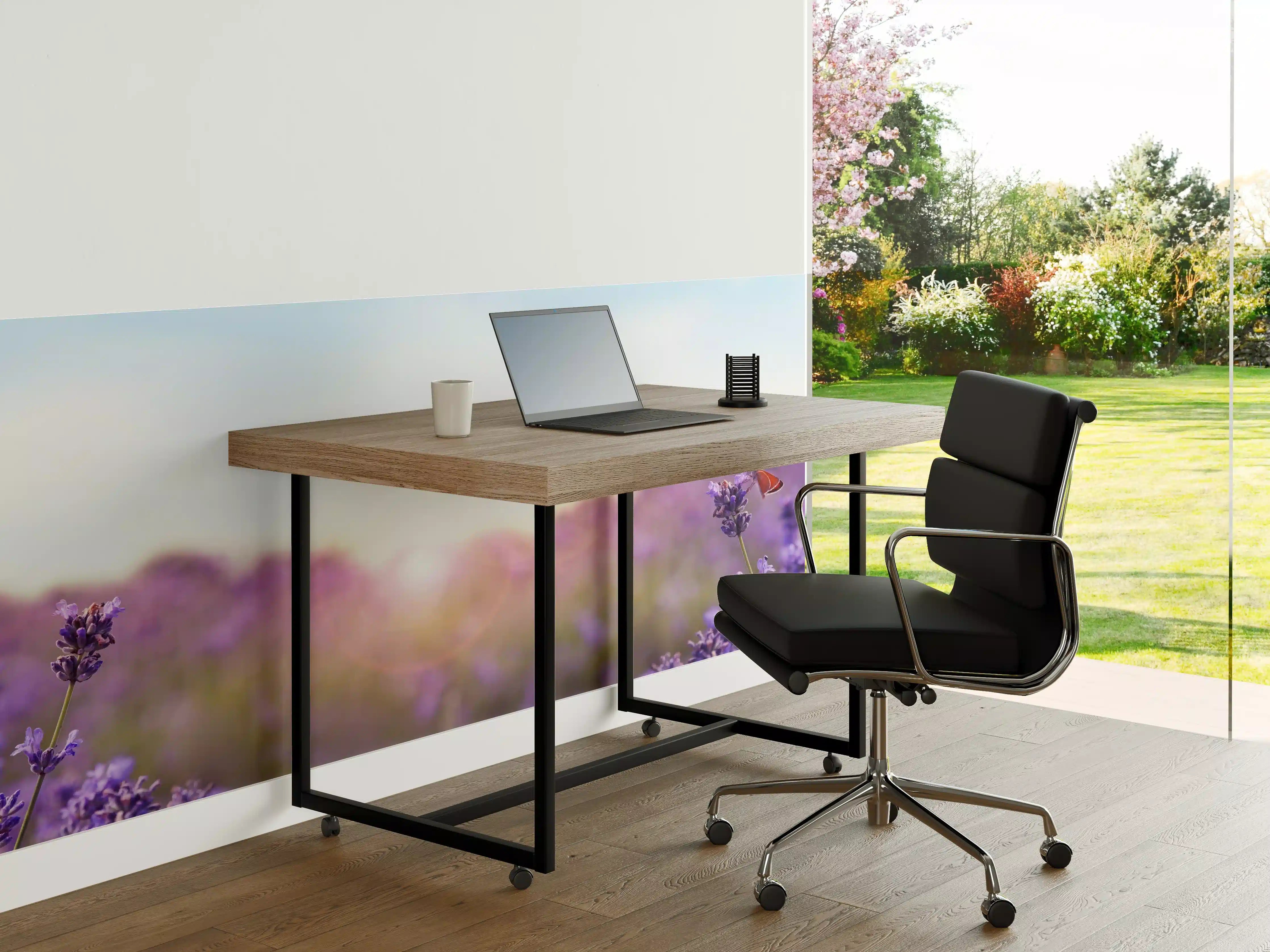 Büro Wandgestaltung - Lila Lavendelfeld im Morgenlicht