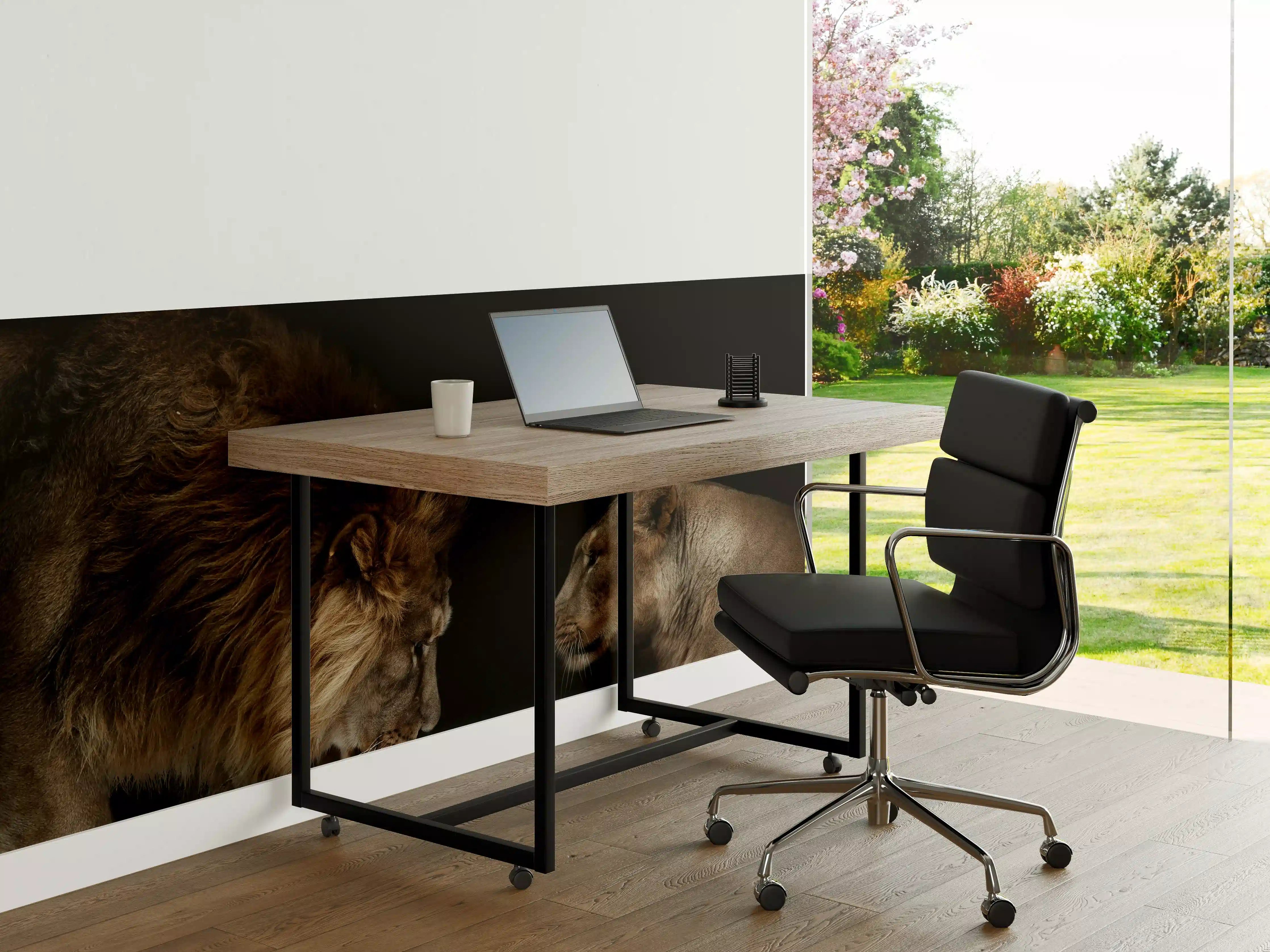 Büro Wandgestaltung - Löwe und Löwin gegenüber - Porträt