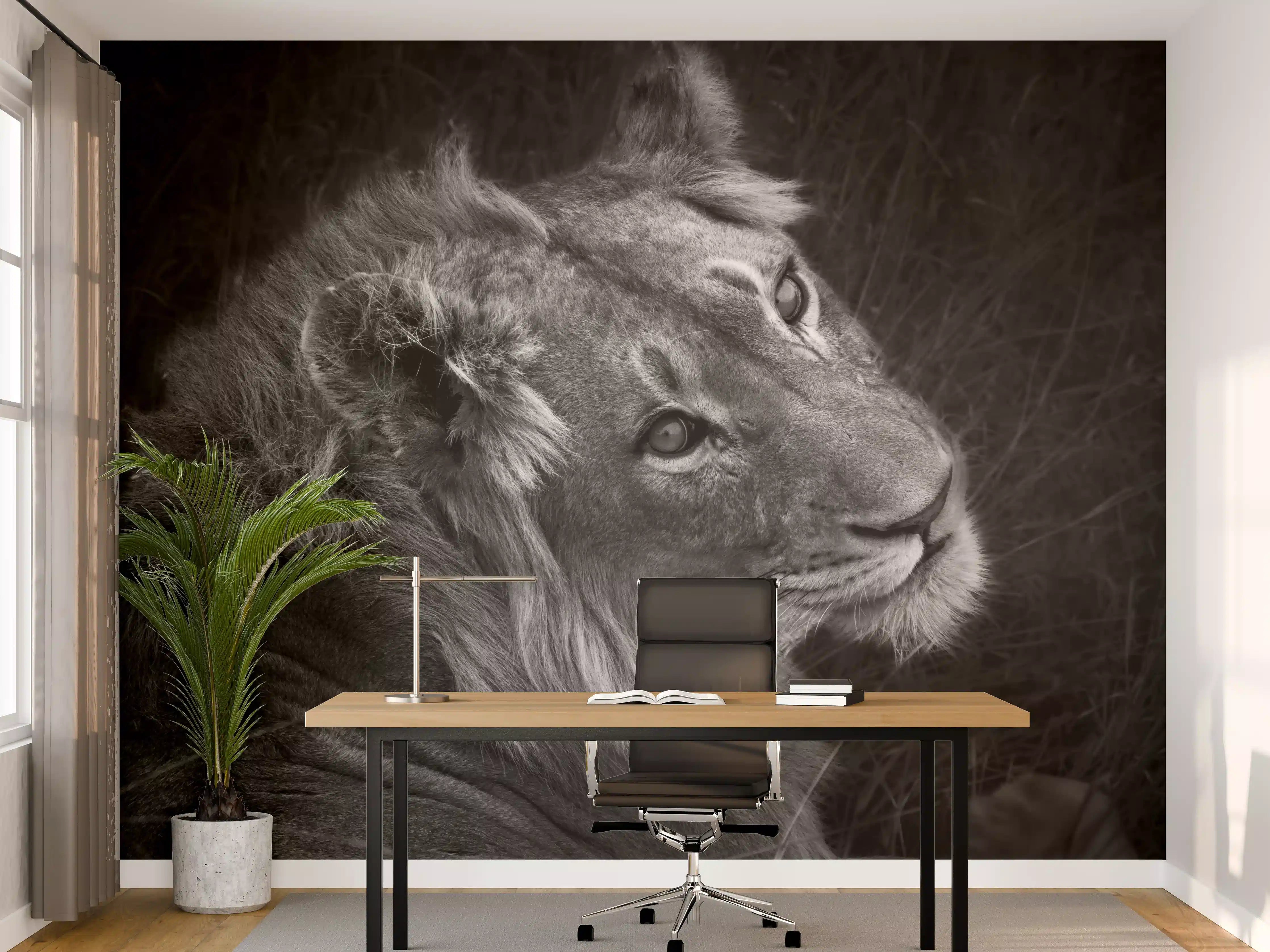 Büro Wandgestaltung - Löwen Portrait - Schwarz-weiß