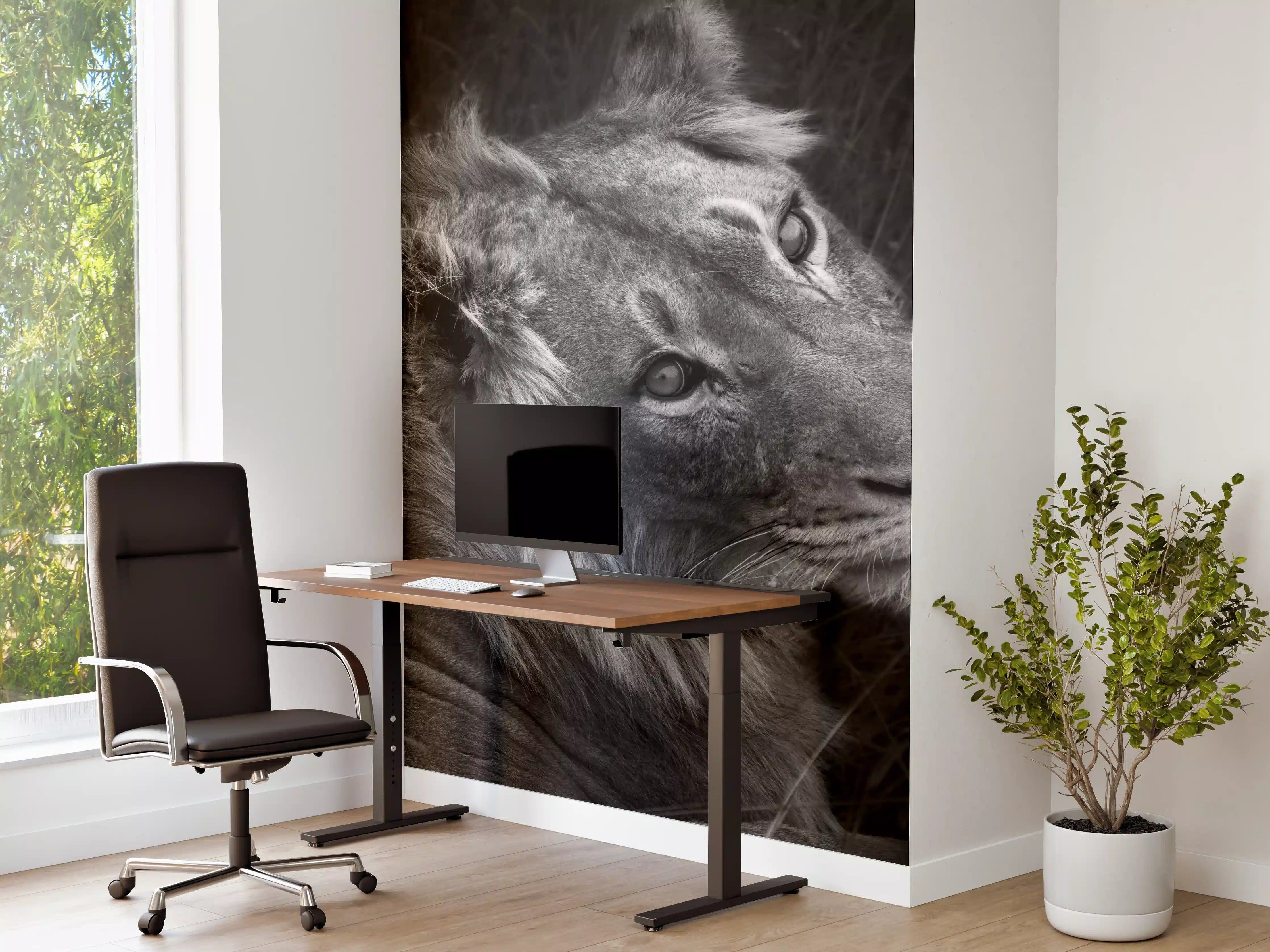 Büro Wandgestaltung - Löwen Portrait - Schwarz-weiß