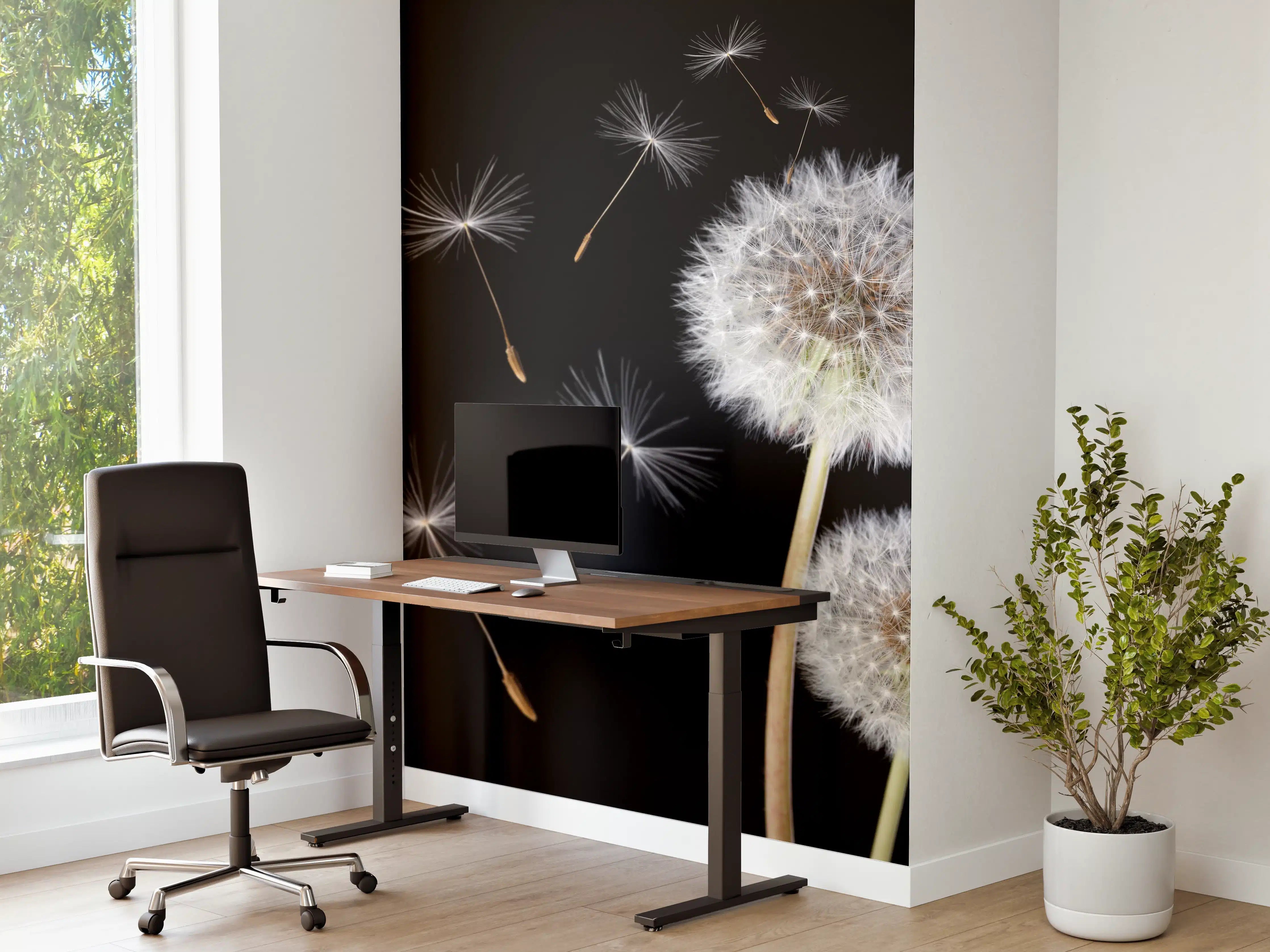 Büro Wandgestaltung - Löwenzahn auf schwarzem Hintergrund