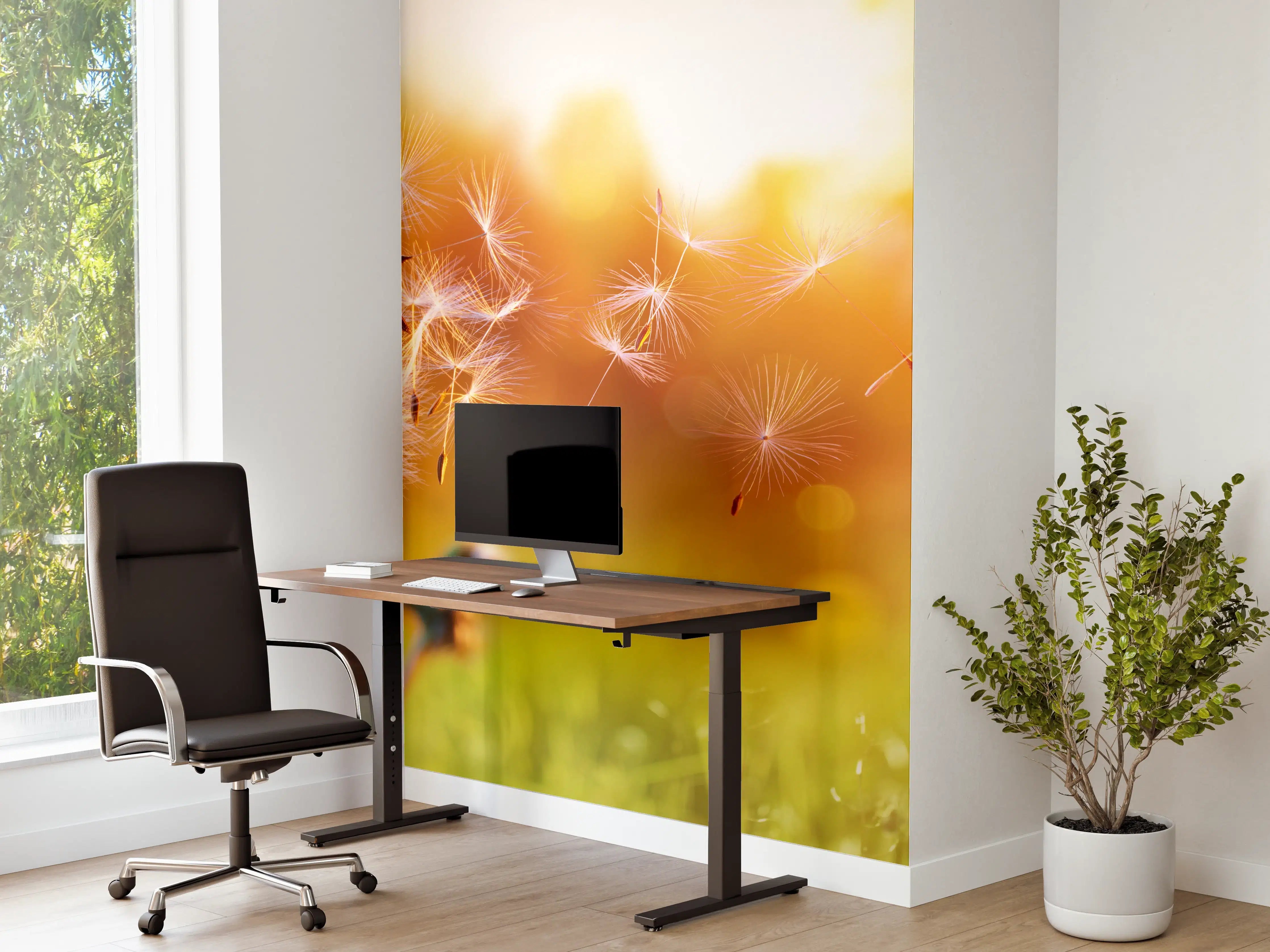 Büro Wandgestaltung - Löwenzahn im Feld bei Sonnenuntergang