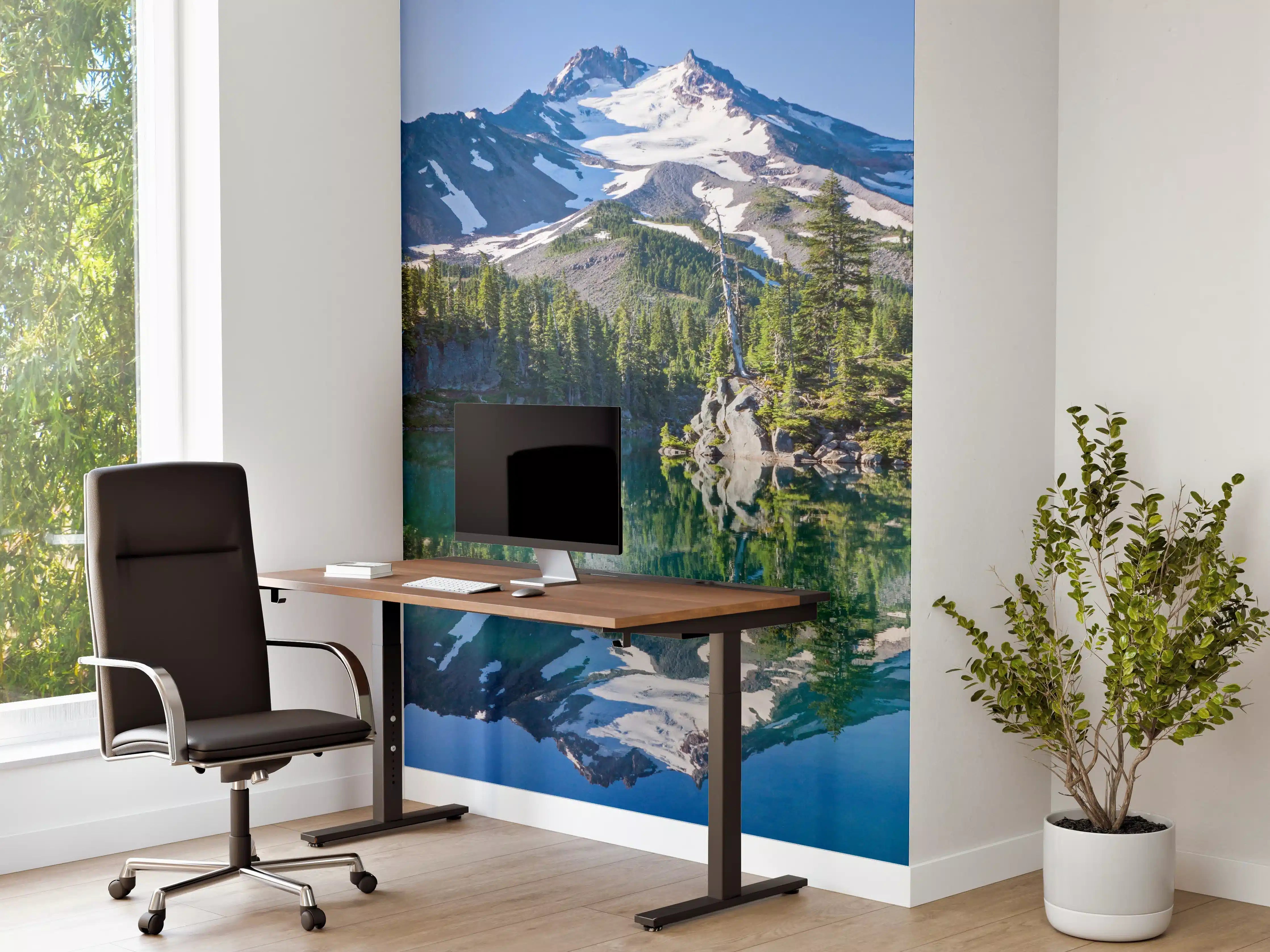 Büro Wandgestaltung - Majestätische Berglandschaft mitSee und Wälder
