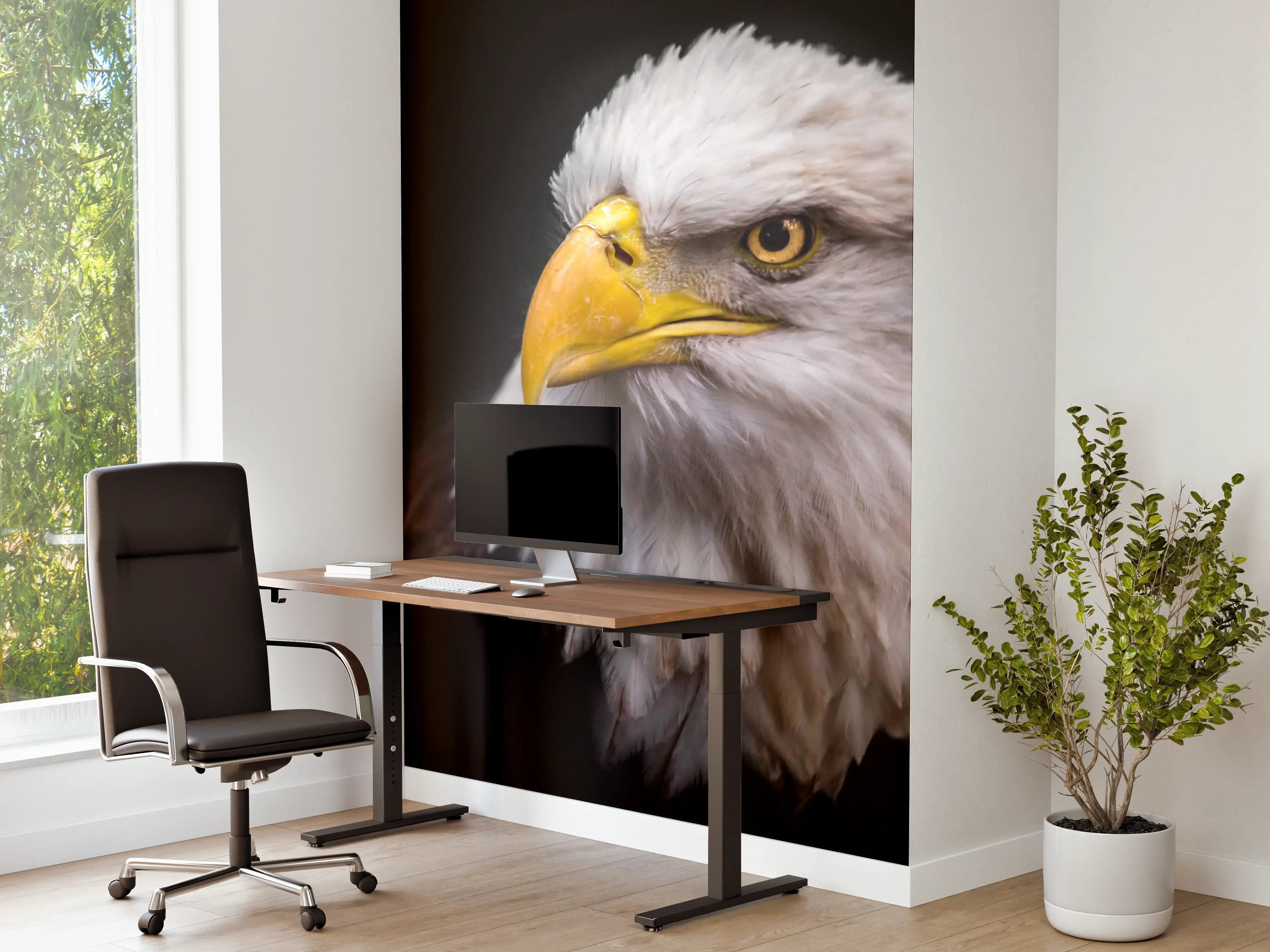 Büro Wandgestaltung - Majestätischer Adler