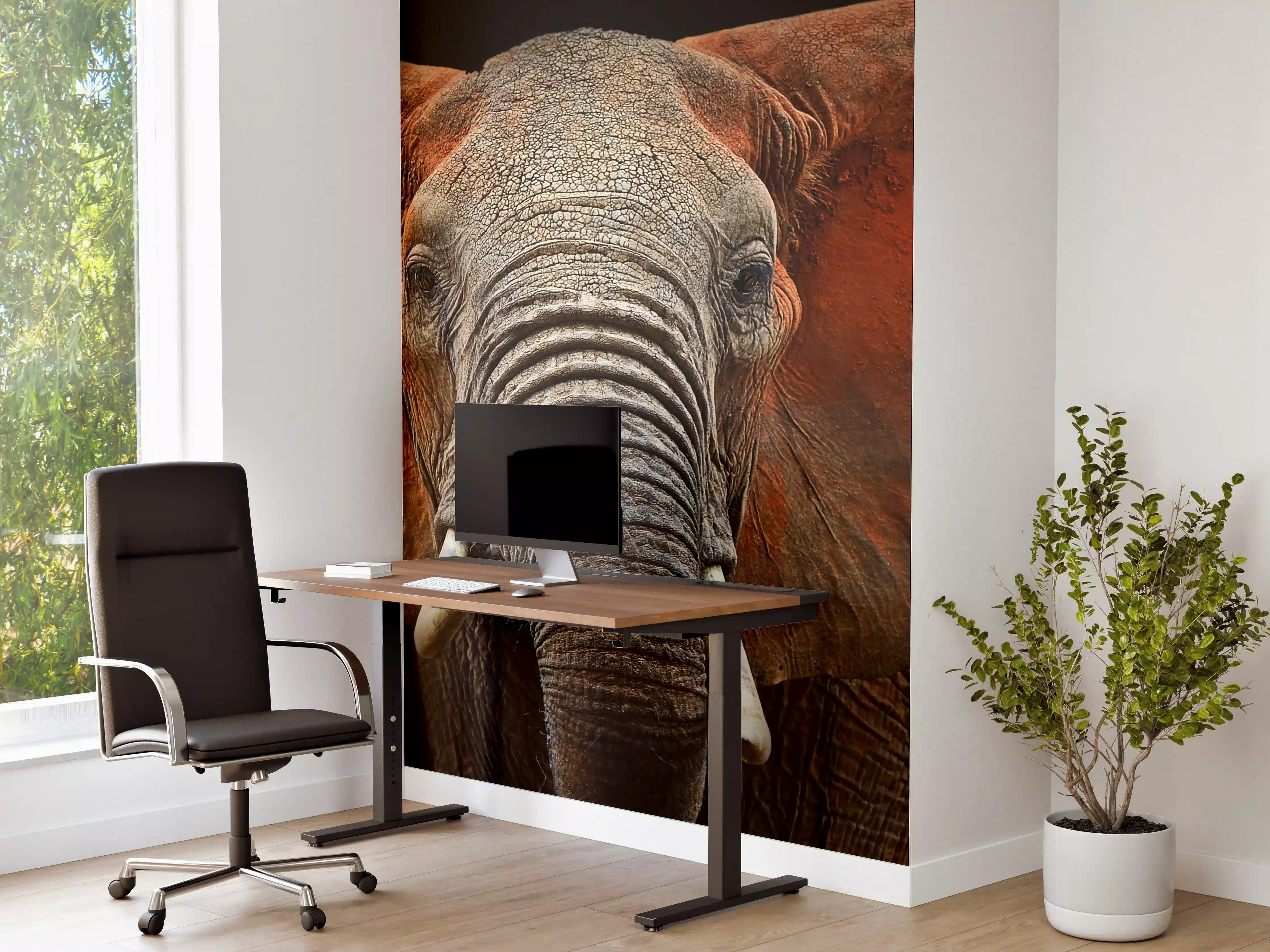 Büro Wandgestaltung - Majestätischer Elefant mit roten Ohren
