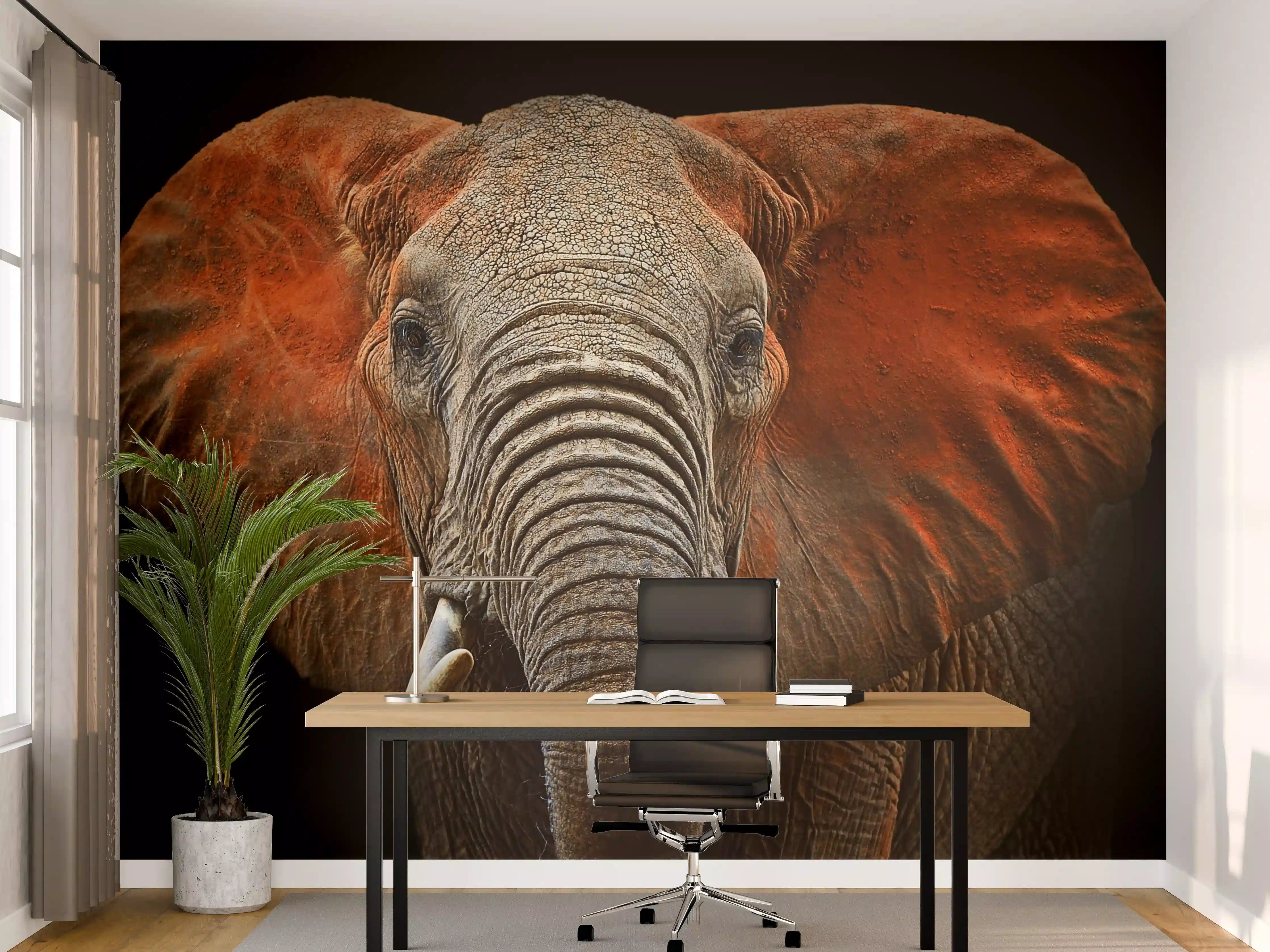 Büro Wandgestaltung - Majestätischer Elefant vor schwarzem Hintergrund