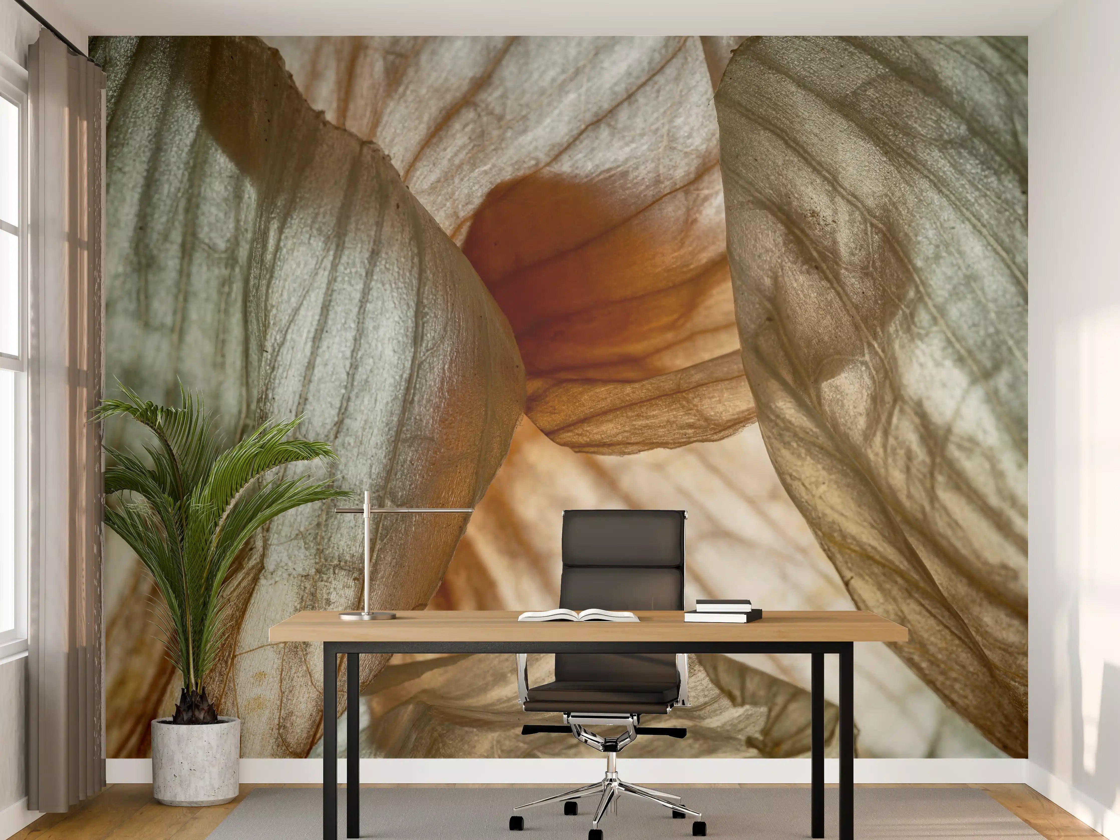 Büro Wandgestaltung - Makrofotografie der Schalenblatttextur einer Zwiebel