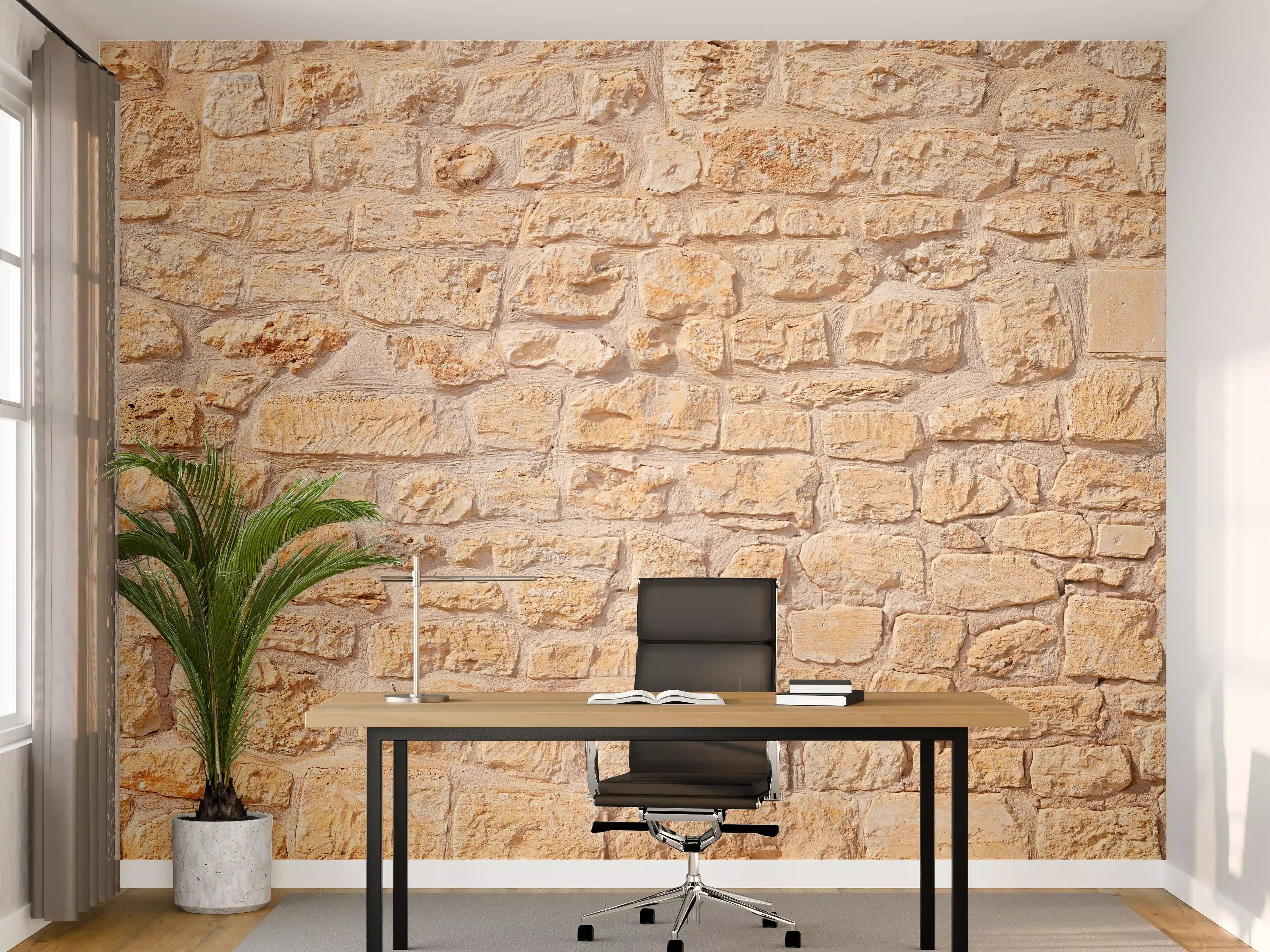 Büro Wandgestaltung - Massive braune Steinfassade