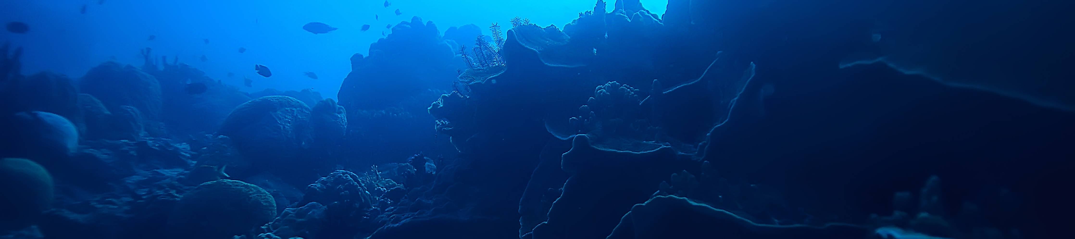 Büro Wandgestaltung-Meeresgrau in Weiß