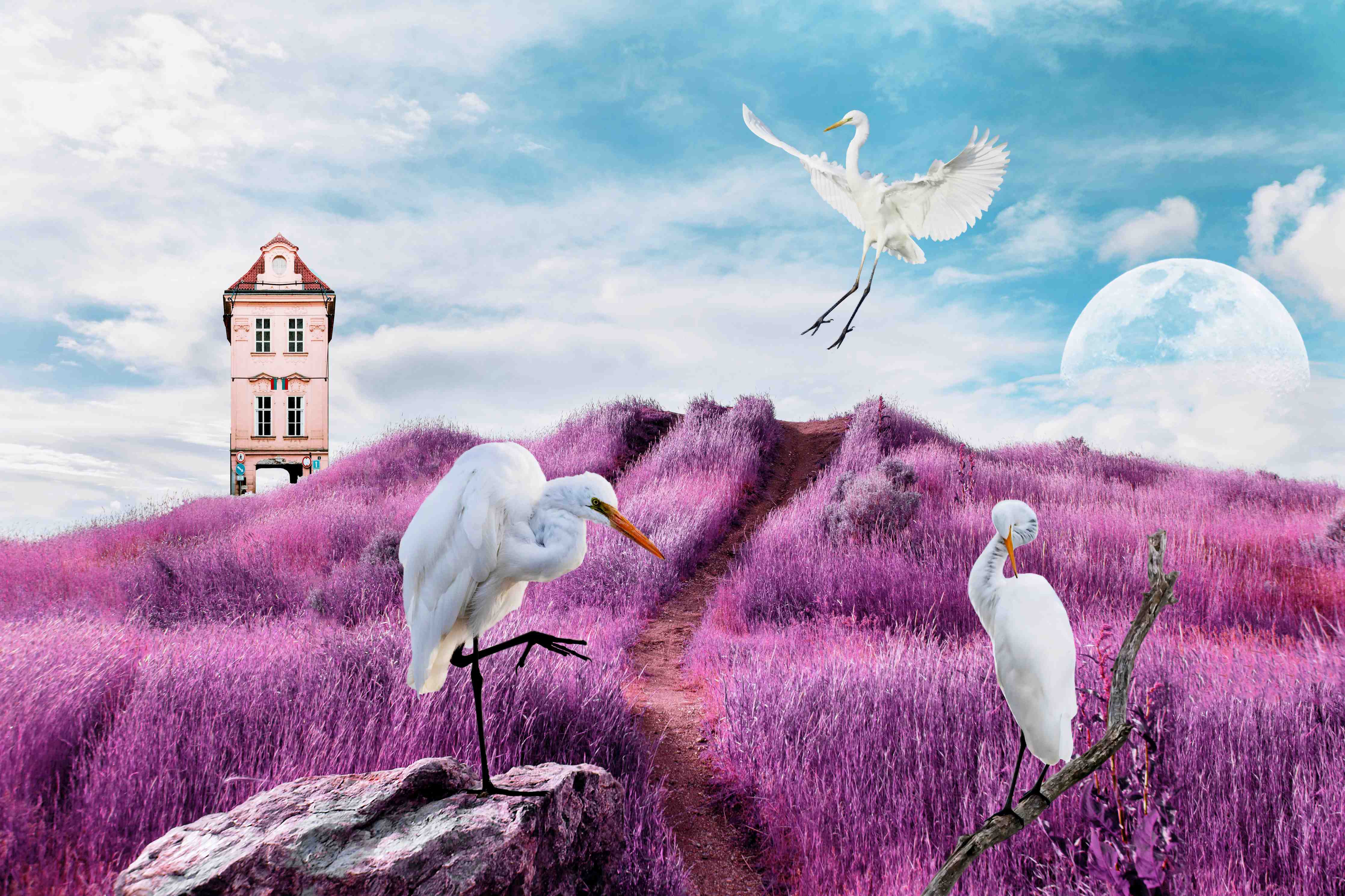 Büro Wandgestaltung-Moderne Kunstcollage - Bergige Region