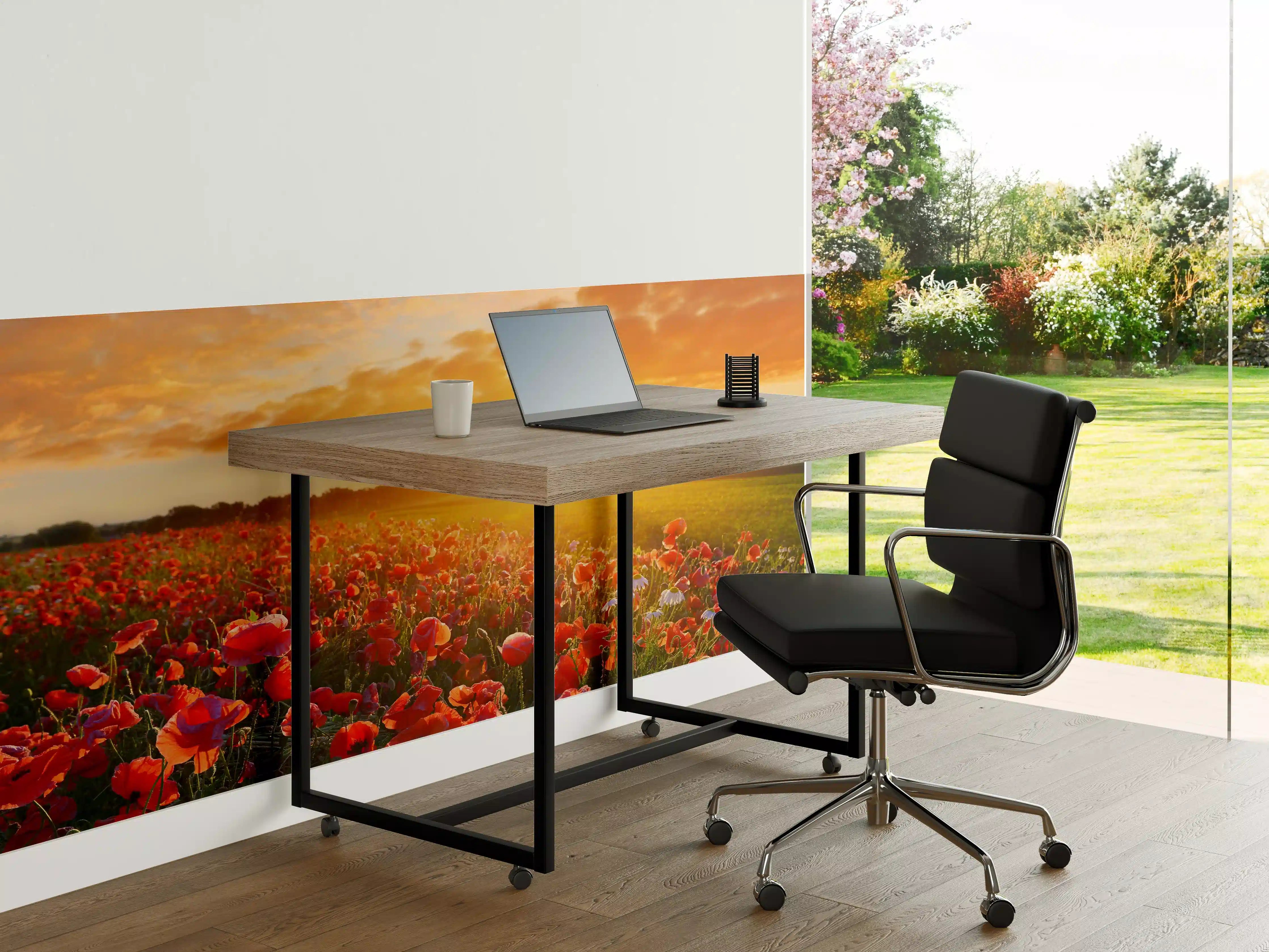 Büro Wandgestaltung - Mohnblüten bei Sonnenaufgang in Kassel