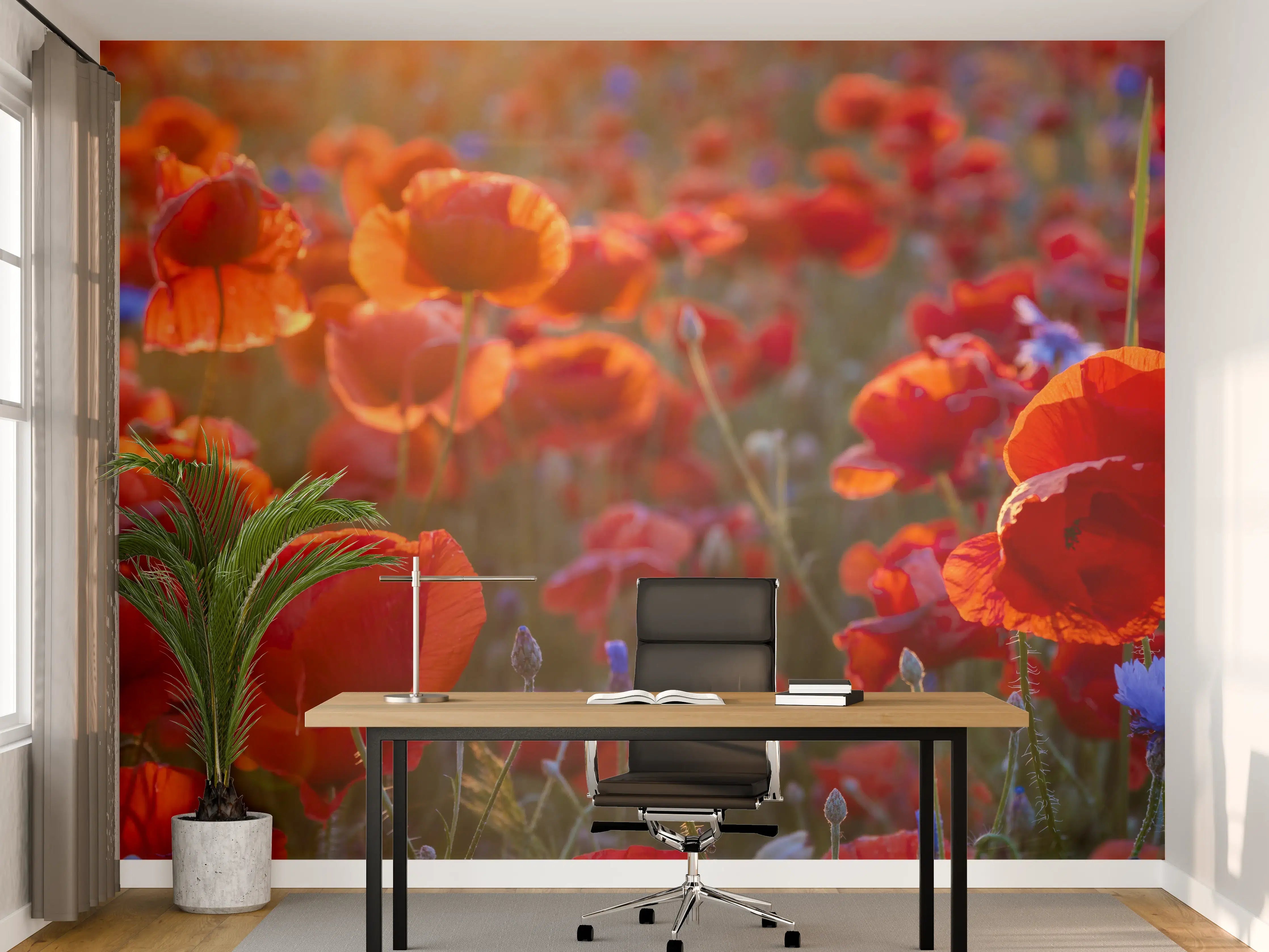 Büro Wandgestaltung - Mohnwiese im Licht der untergehenden Sonne